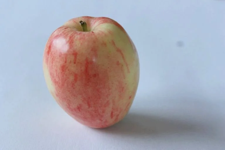 chenango strawberry 1.jpg