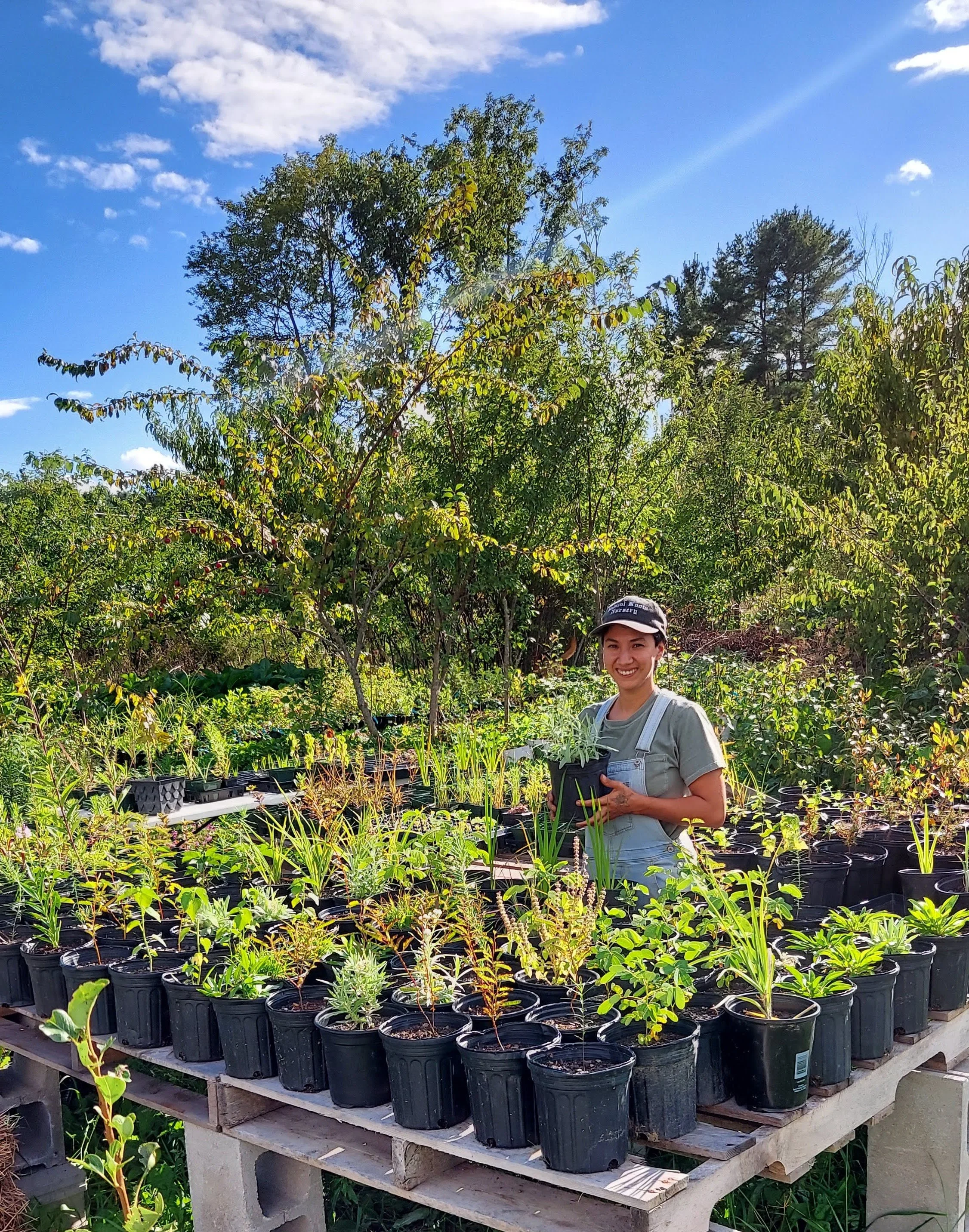 Home Radical Roots Nursery