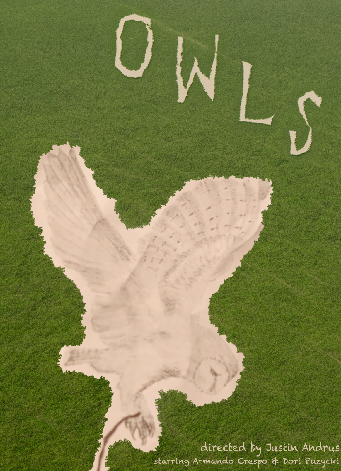 "Owls"
Directed by Justin Andrus