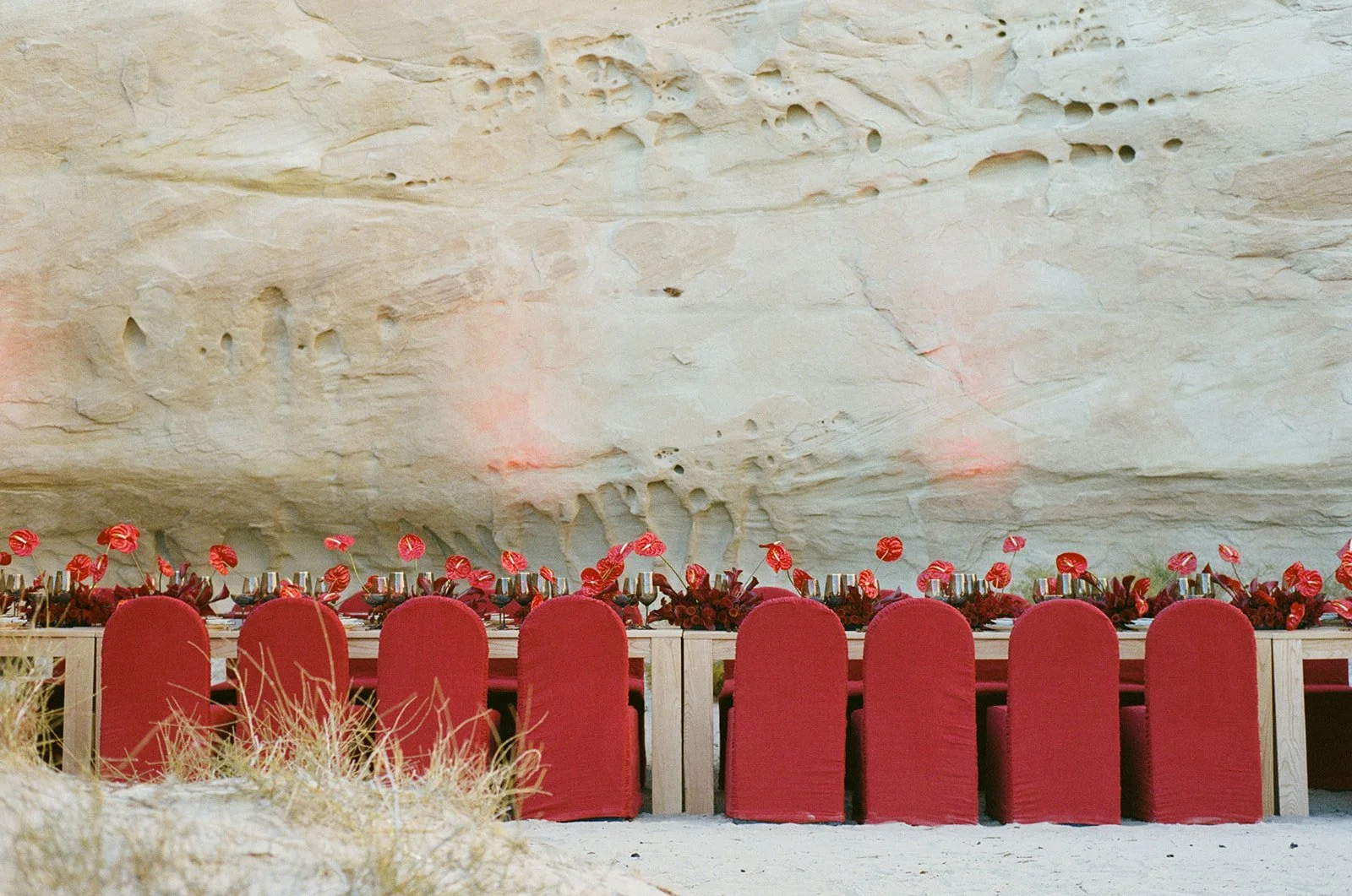 Photos by Sophie Lin Berard