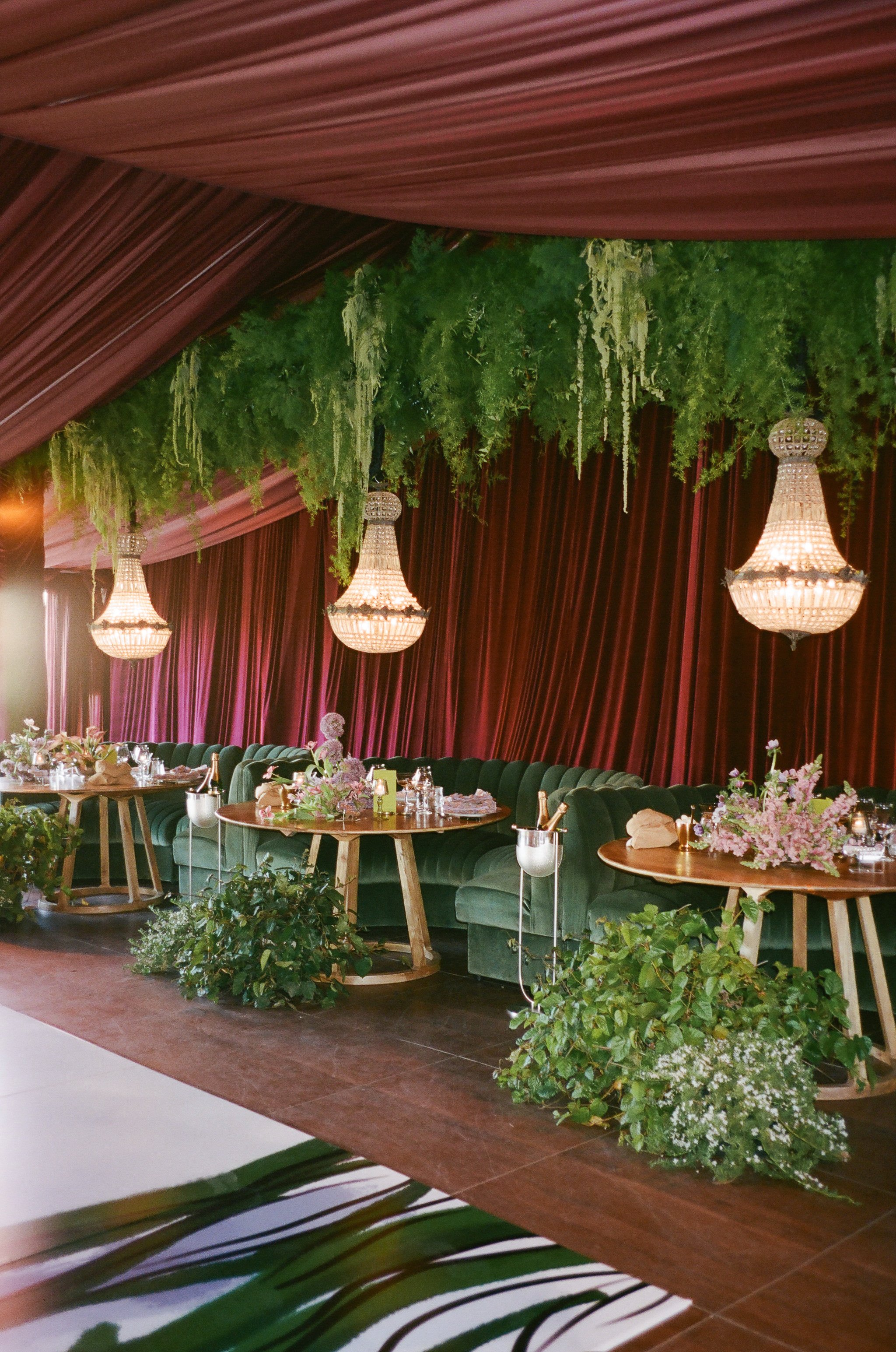 Photo by Liz Rainey Photography