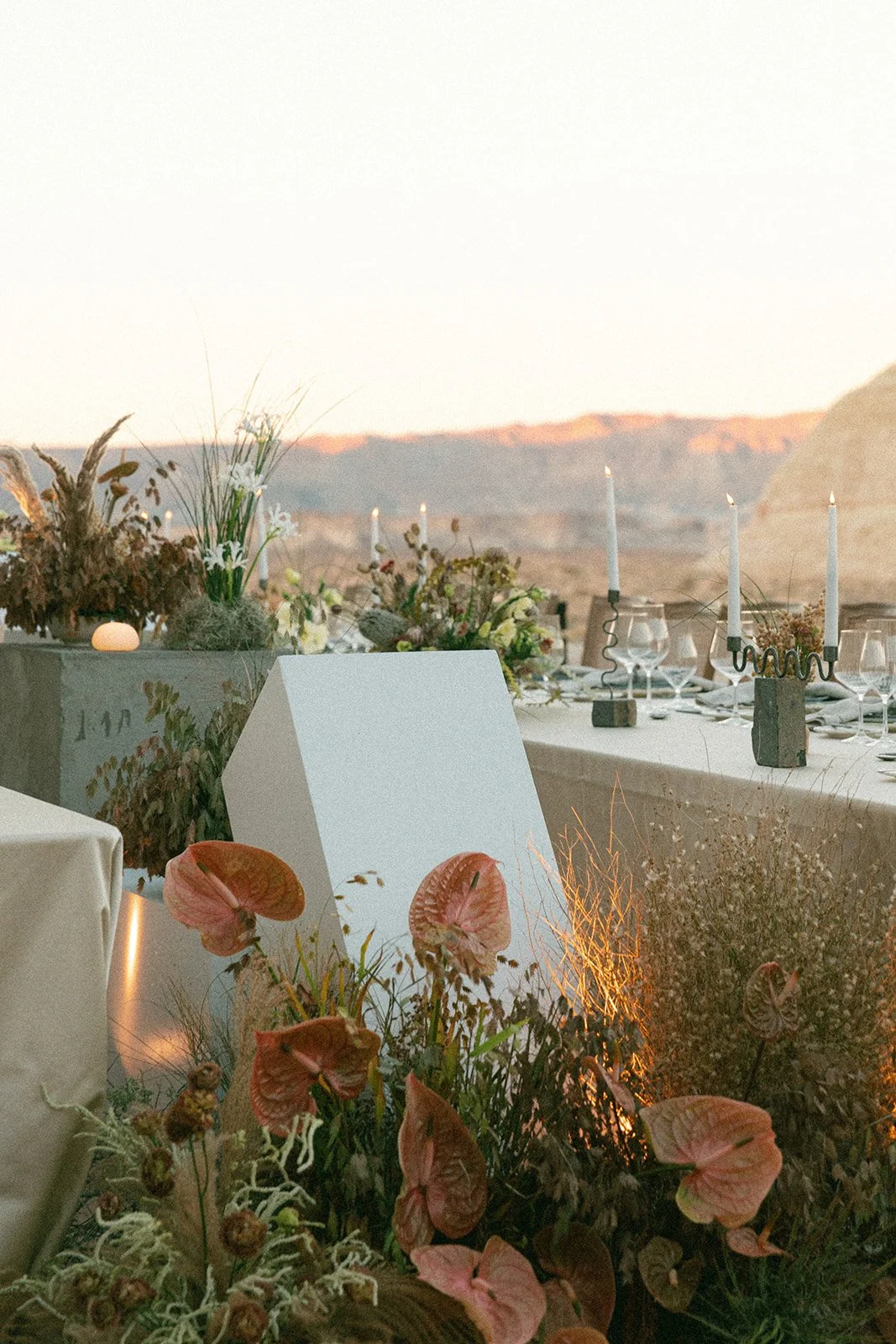 Photos by Sophie Lin Berard