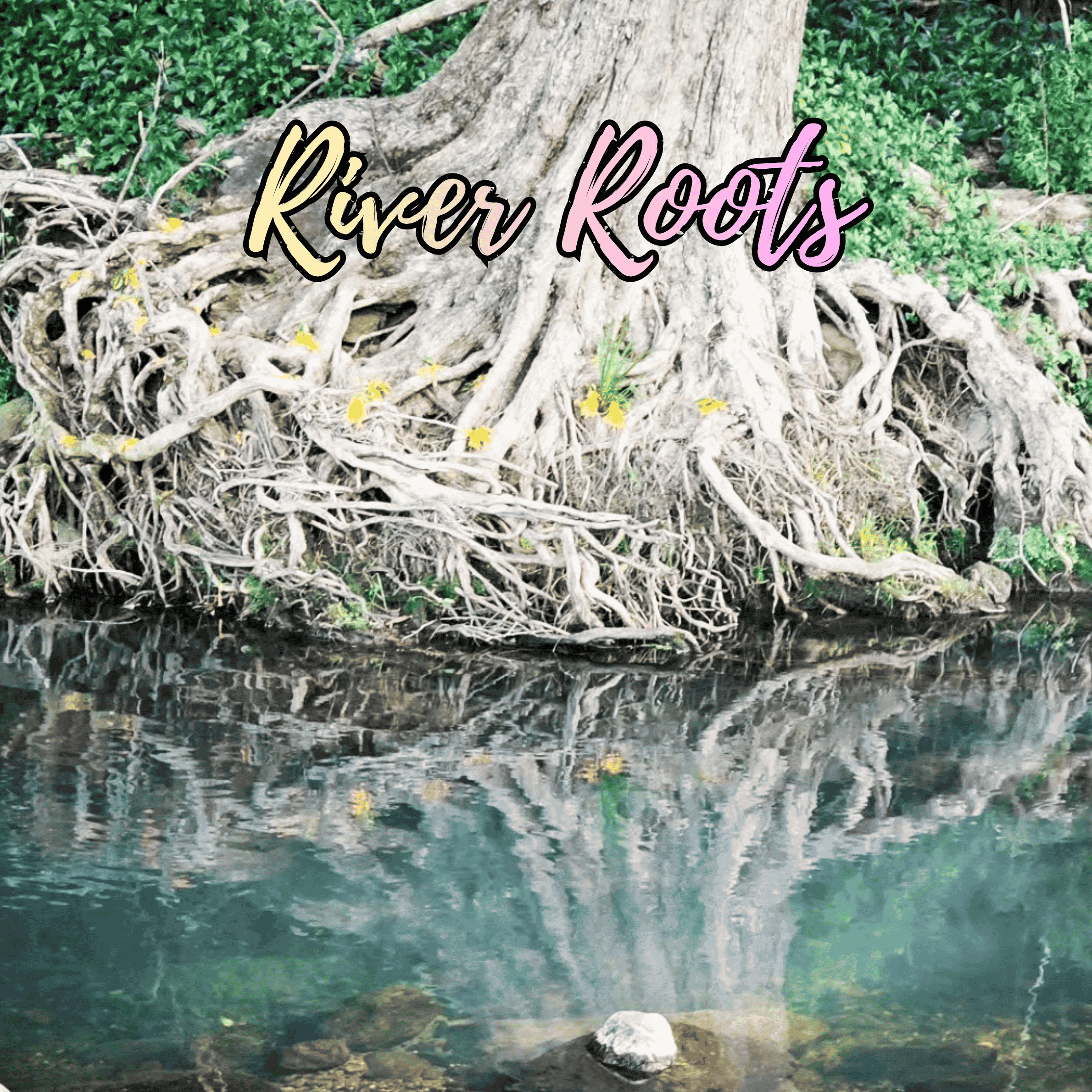 River Roots Mockup.png