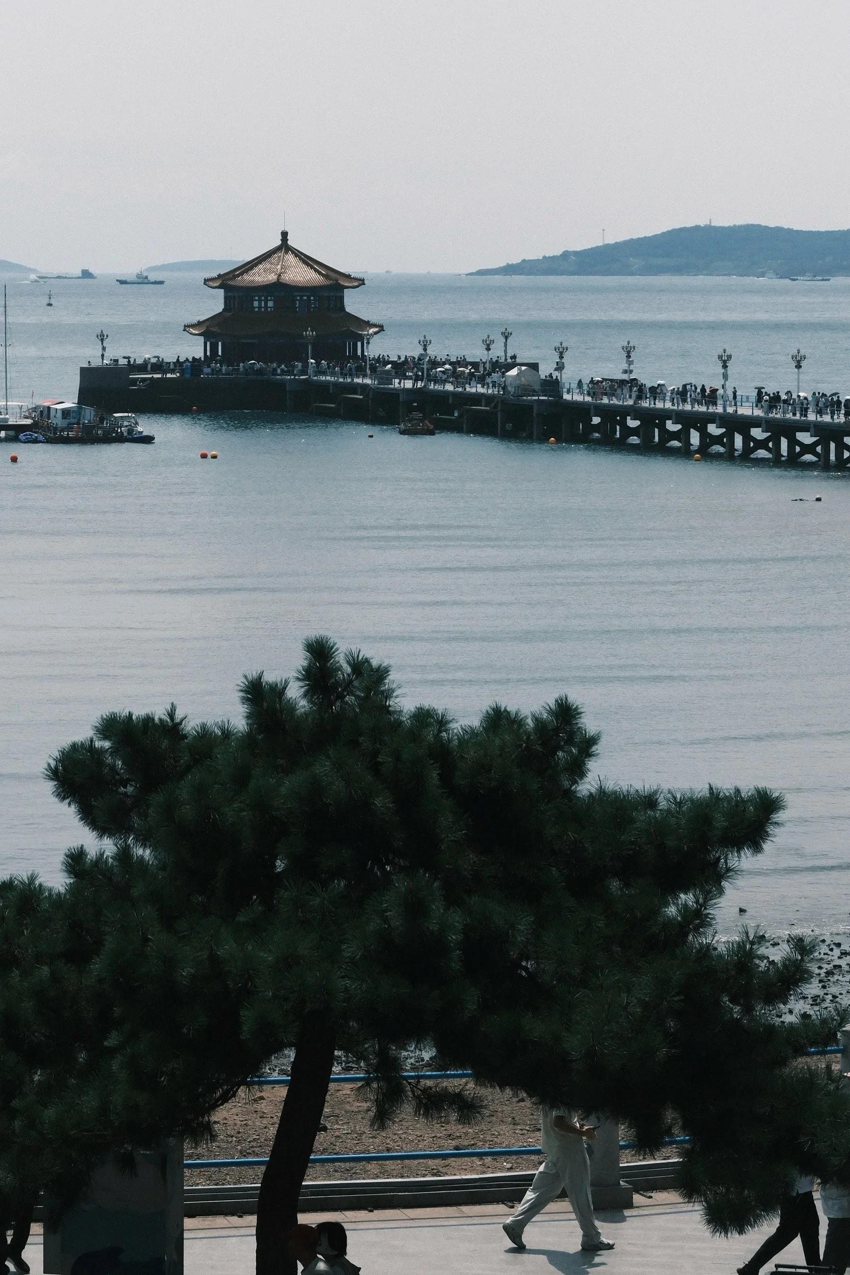 The pier stretching out to a pavilion on the sea, pine trees in front