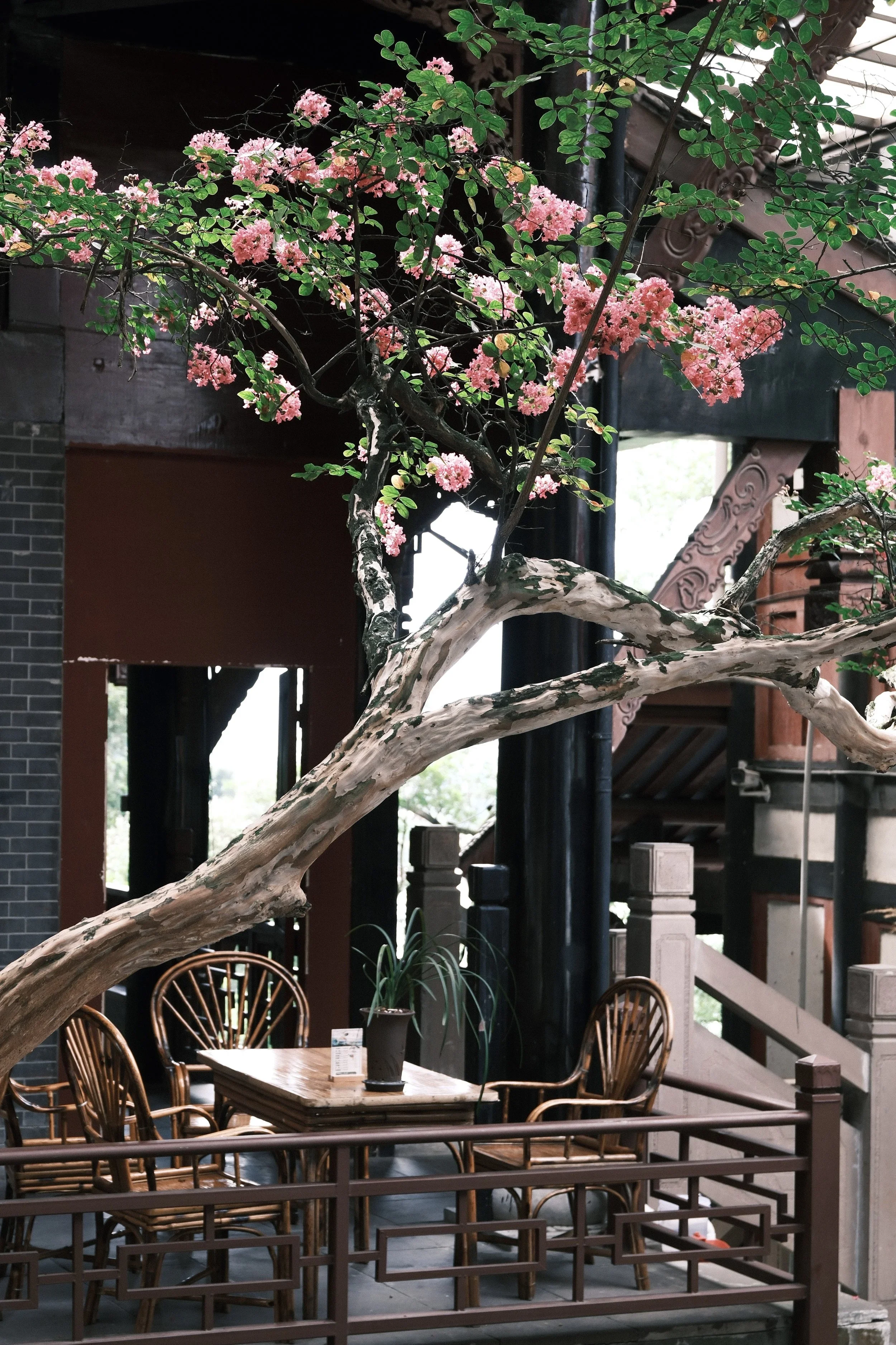 An empty table and chairs under a tree in pink bloom