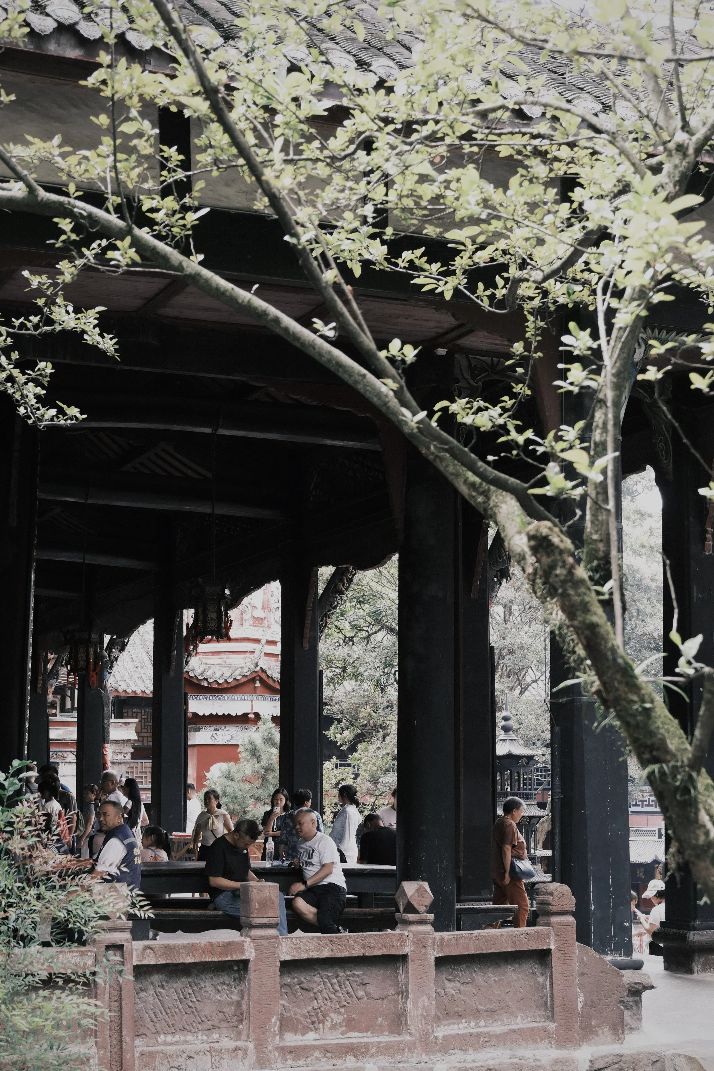 People sitting in bamboo chairs at a teahouse under the trees