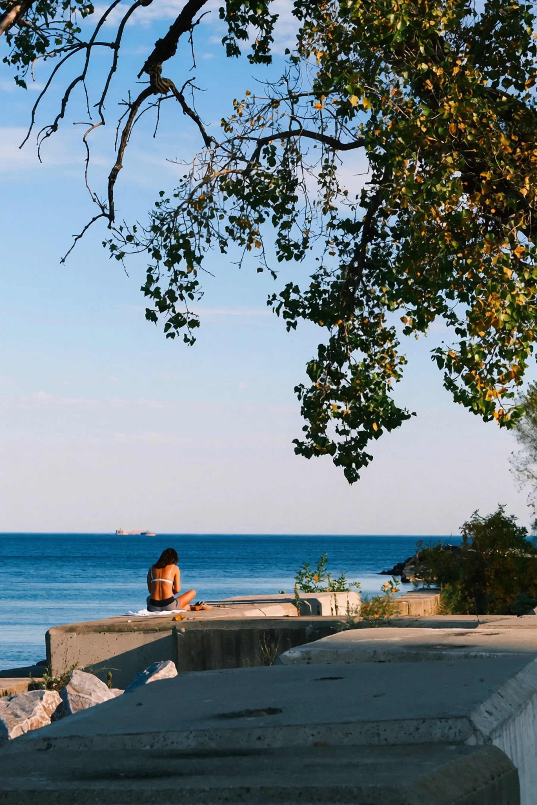 Someone sitting on the rocks by the lake, framed by tree branches