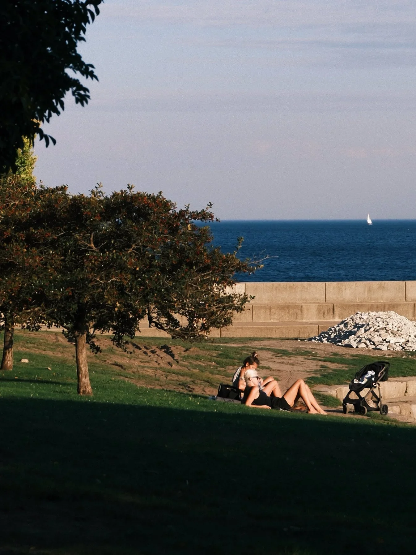 People relaxing on the lawn by the lake under a tree