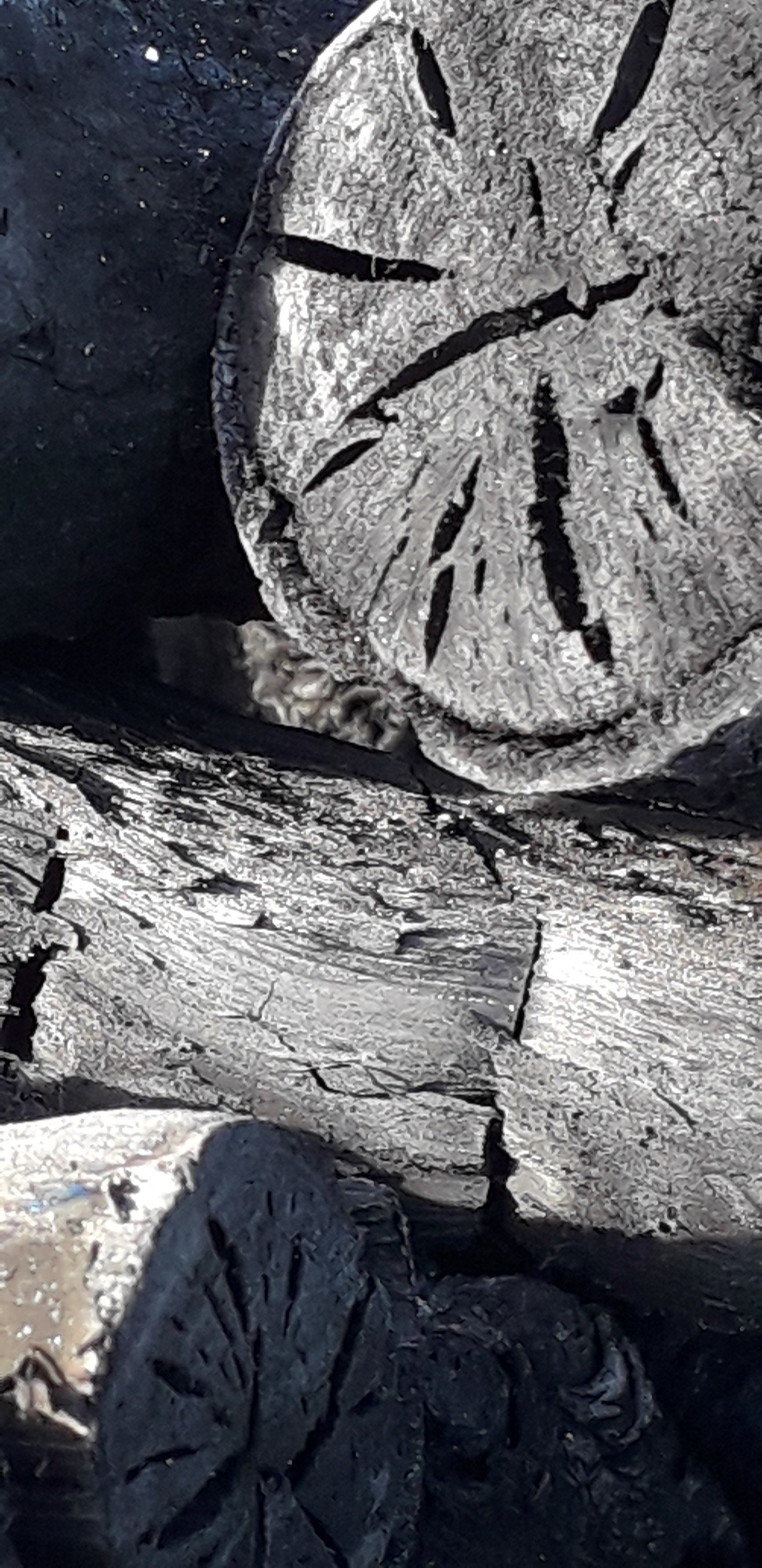 20250302_152215.jpg