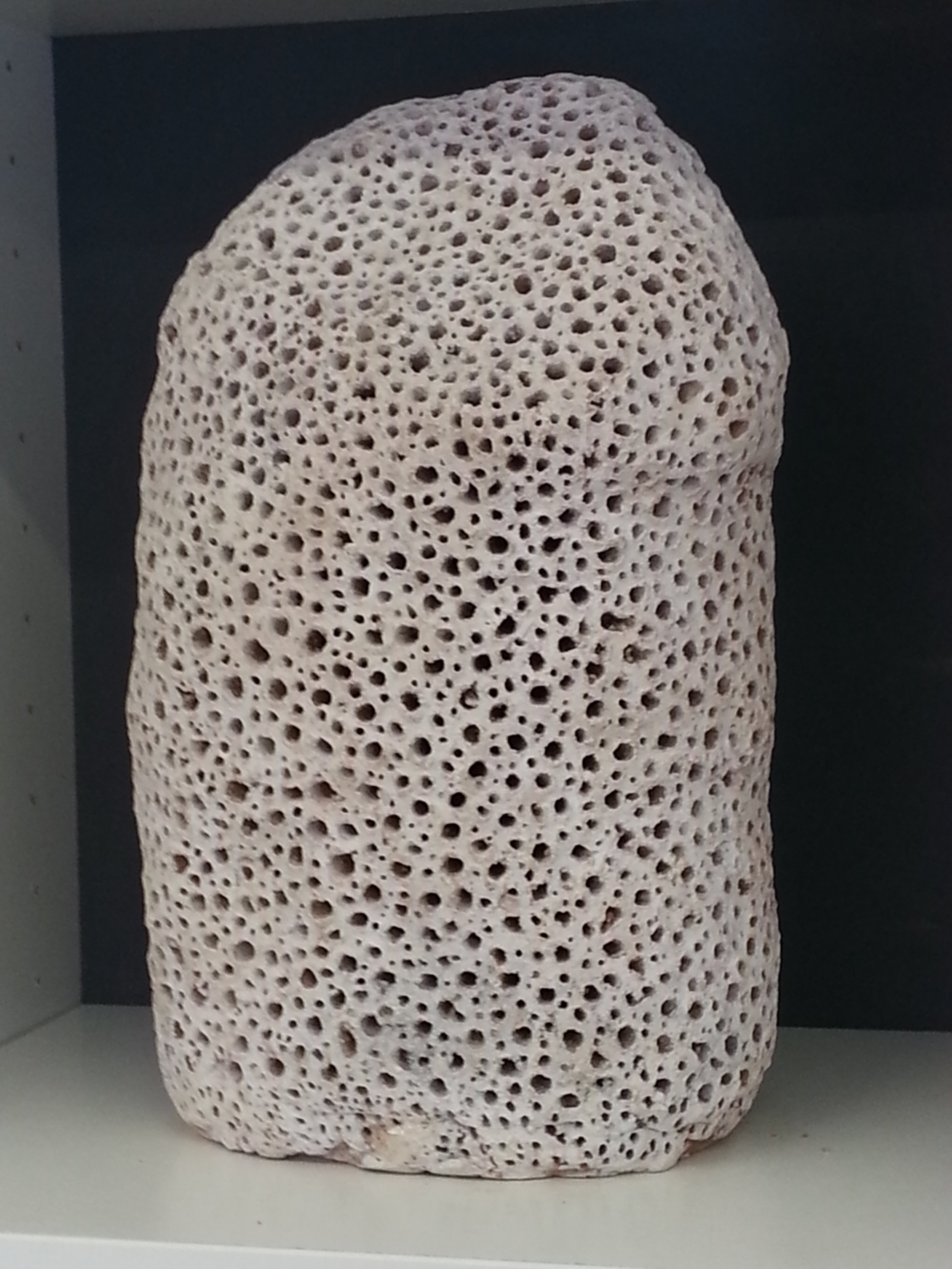 Clam fossil.. Granite clay-Clam shell pigment 2018.jpg