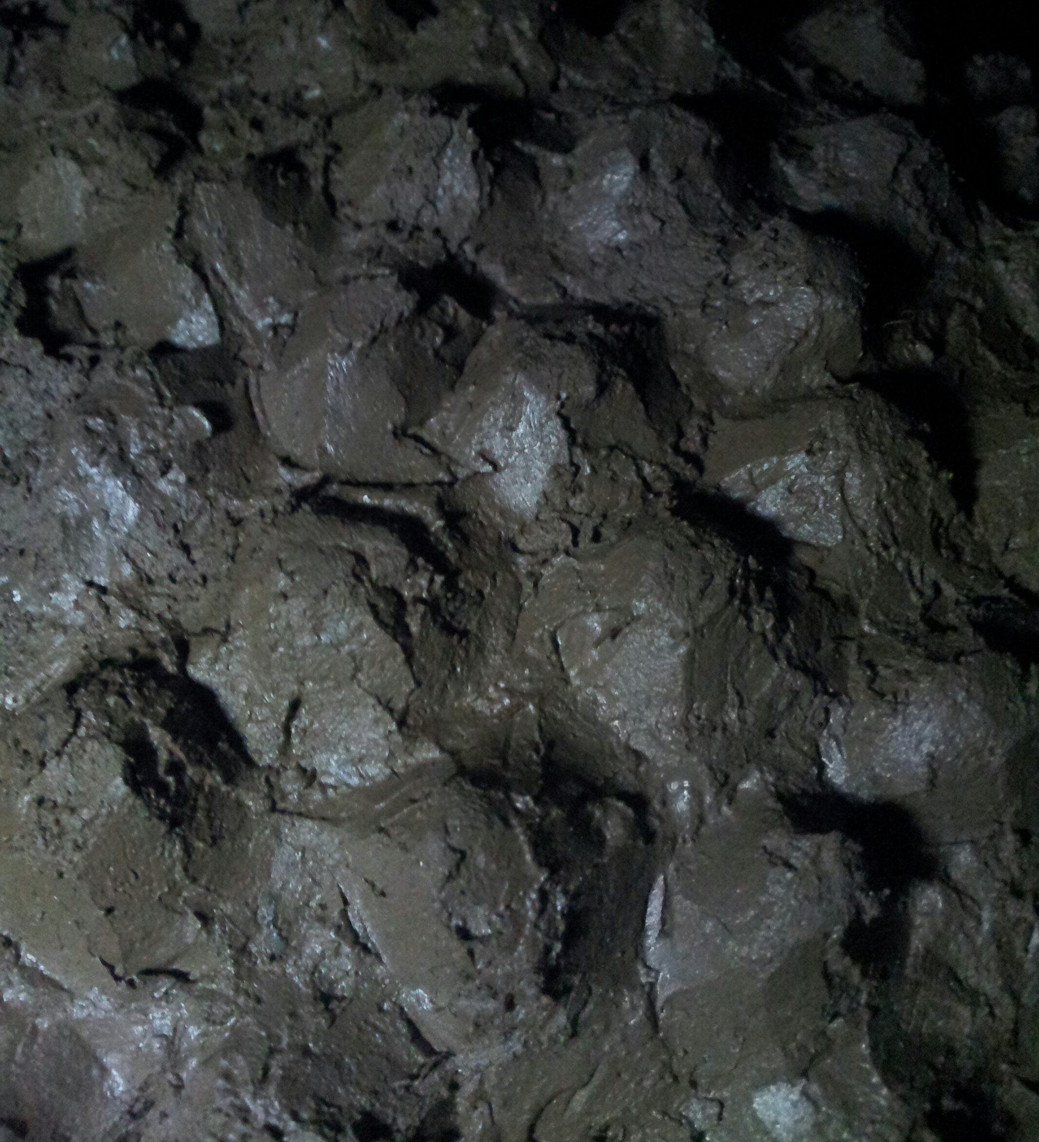 20241105_181050-1.jpg