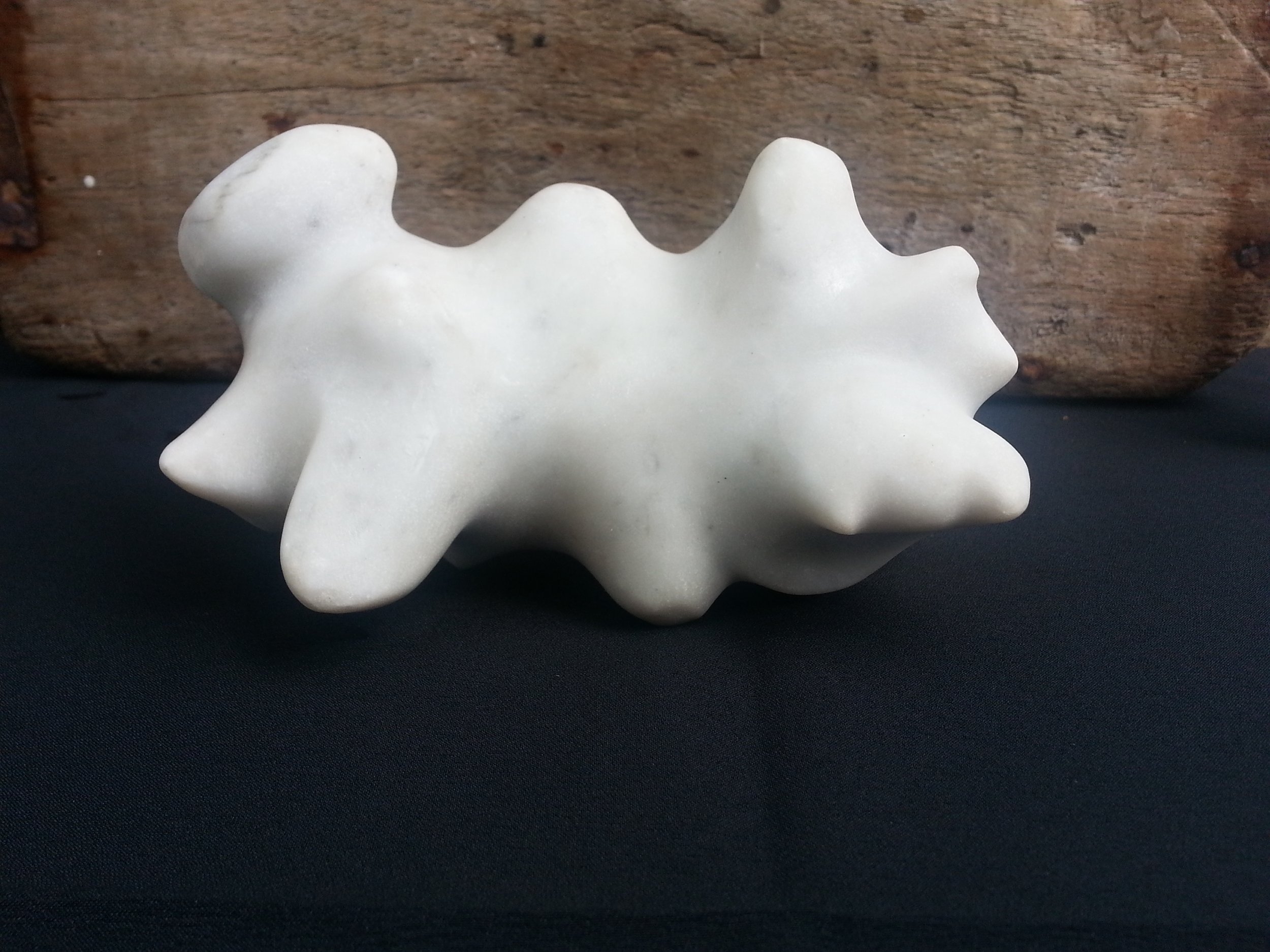 Fossil bone series .. carara marbl.. 2023.jpg