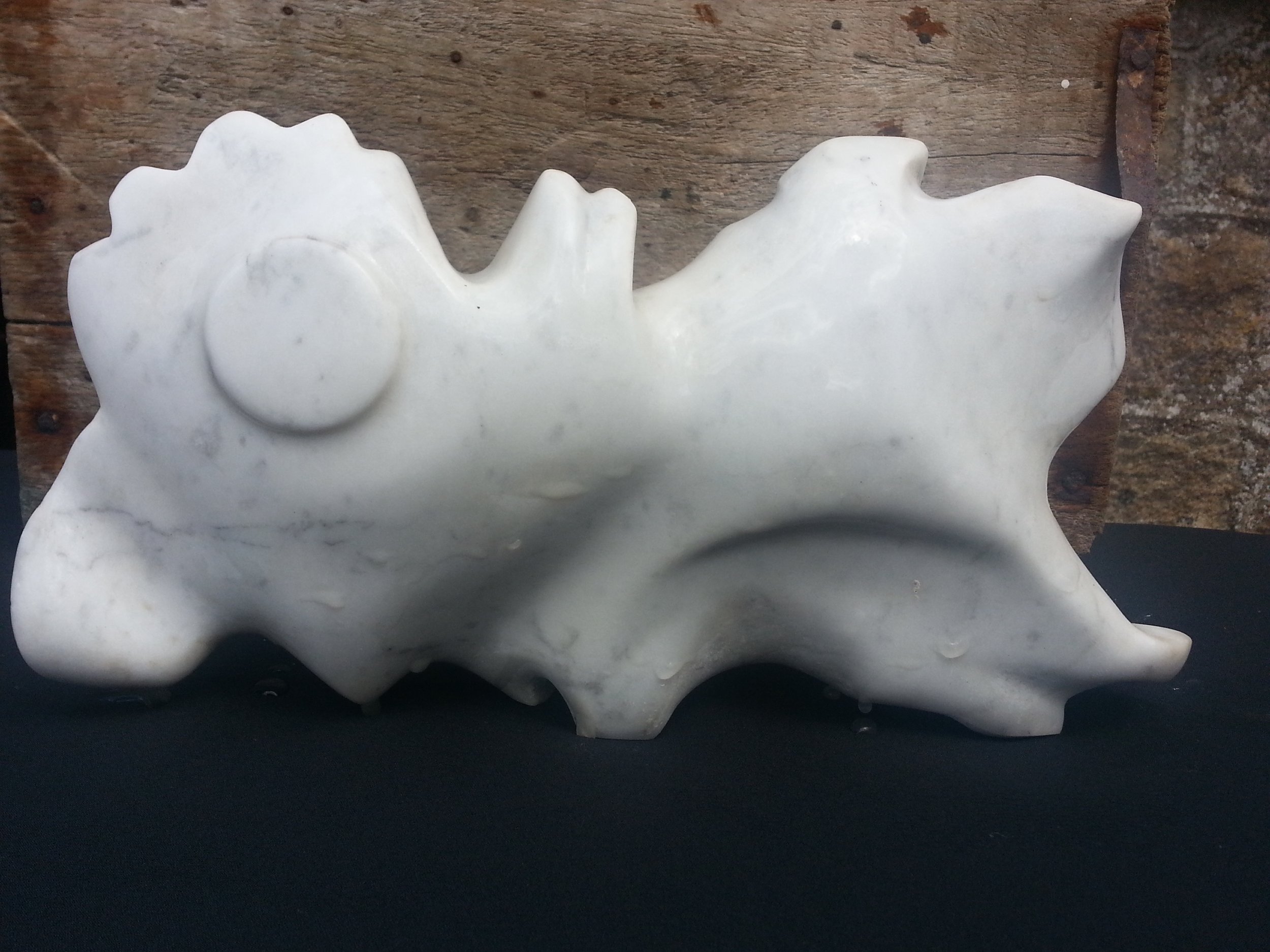 Fossil Bone series 1994 Present.jpg