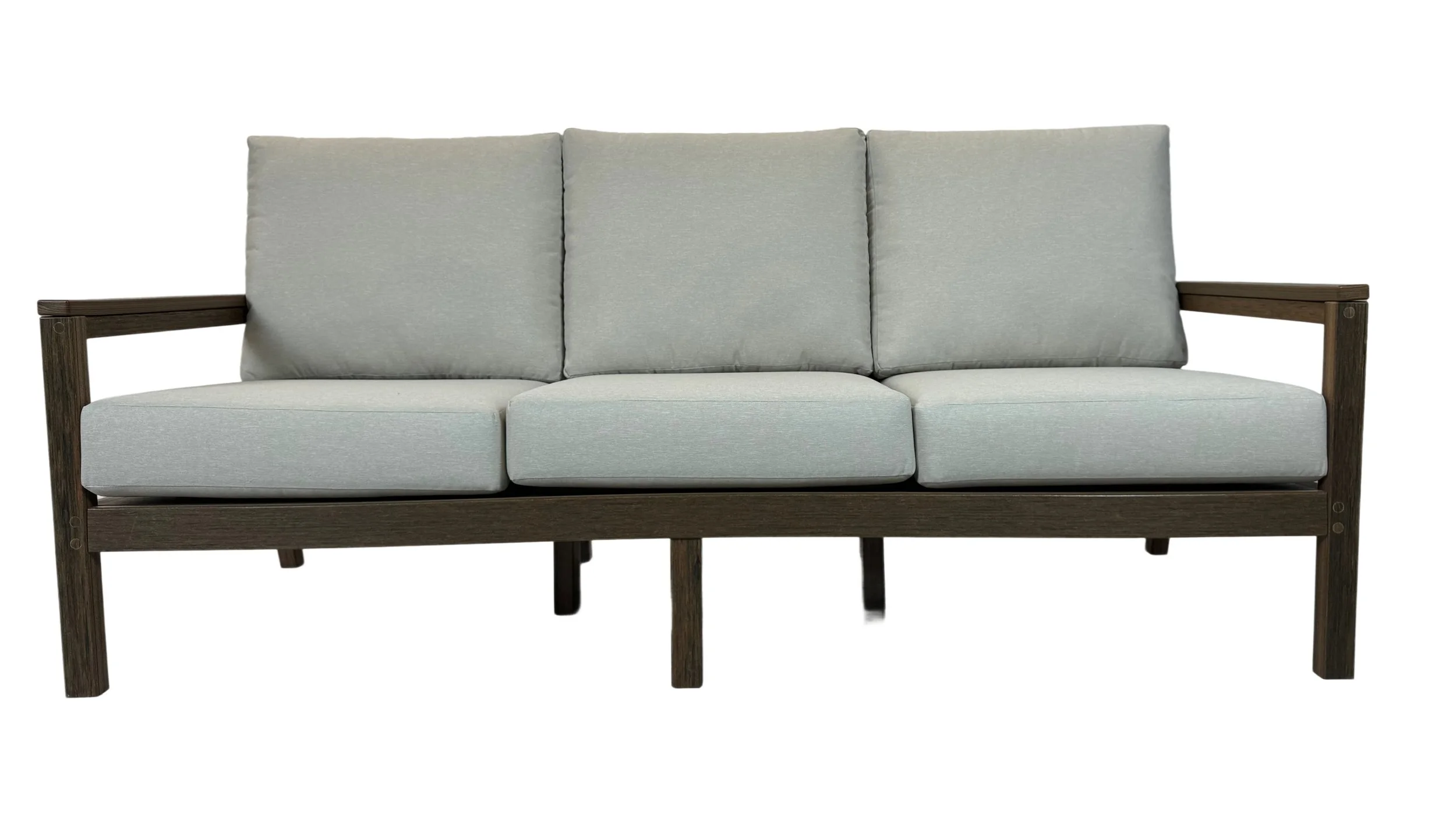 sofa with cushion -1.jpg