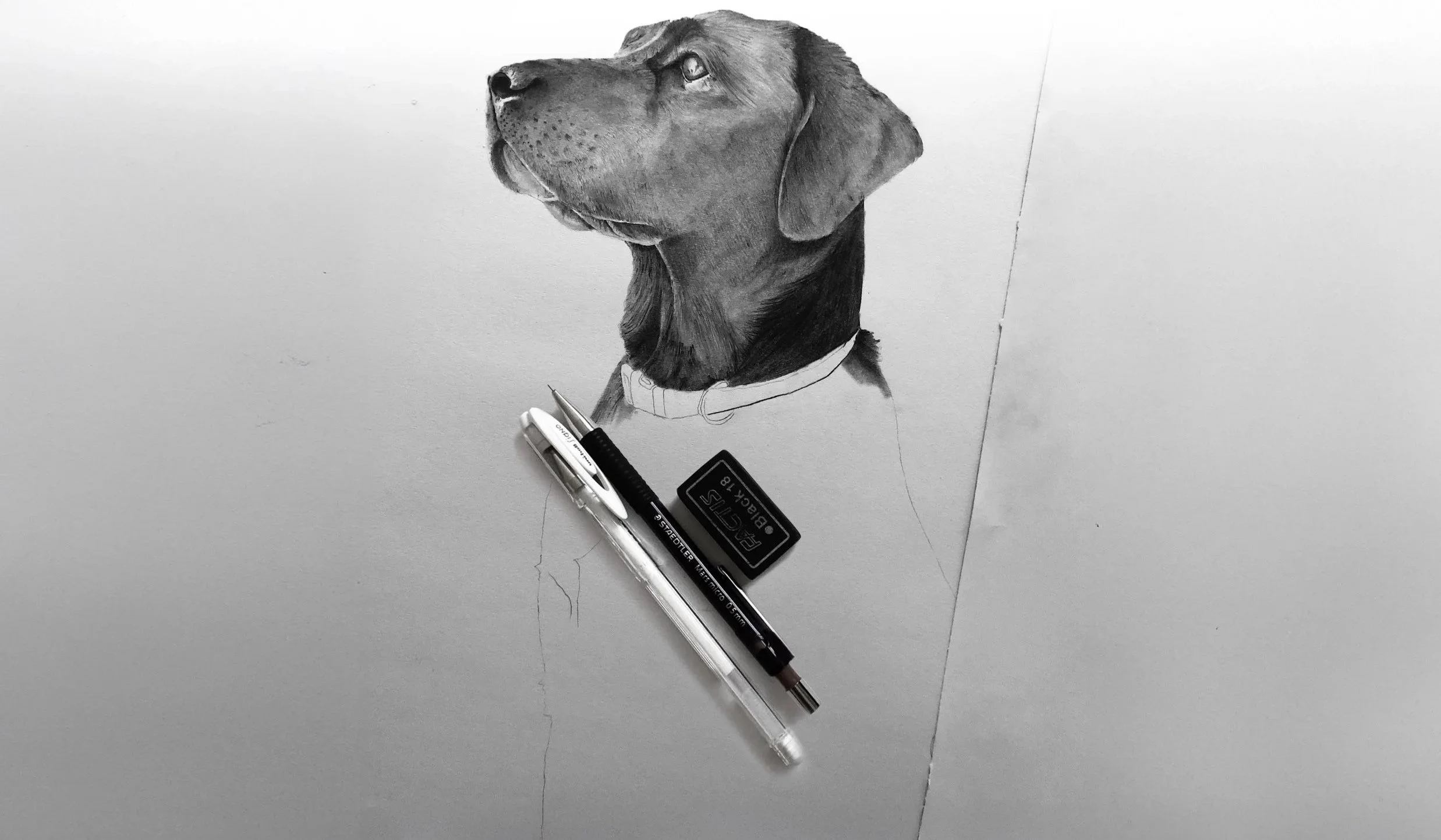 Detailed hand-drawn pet portrait graphite pencil drawing of a Labrador, on a piece of paper. Drawing tools including a mechanical pencil, a pen, and an eraser are placed on top of the paper.