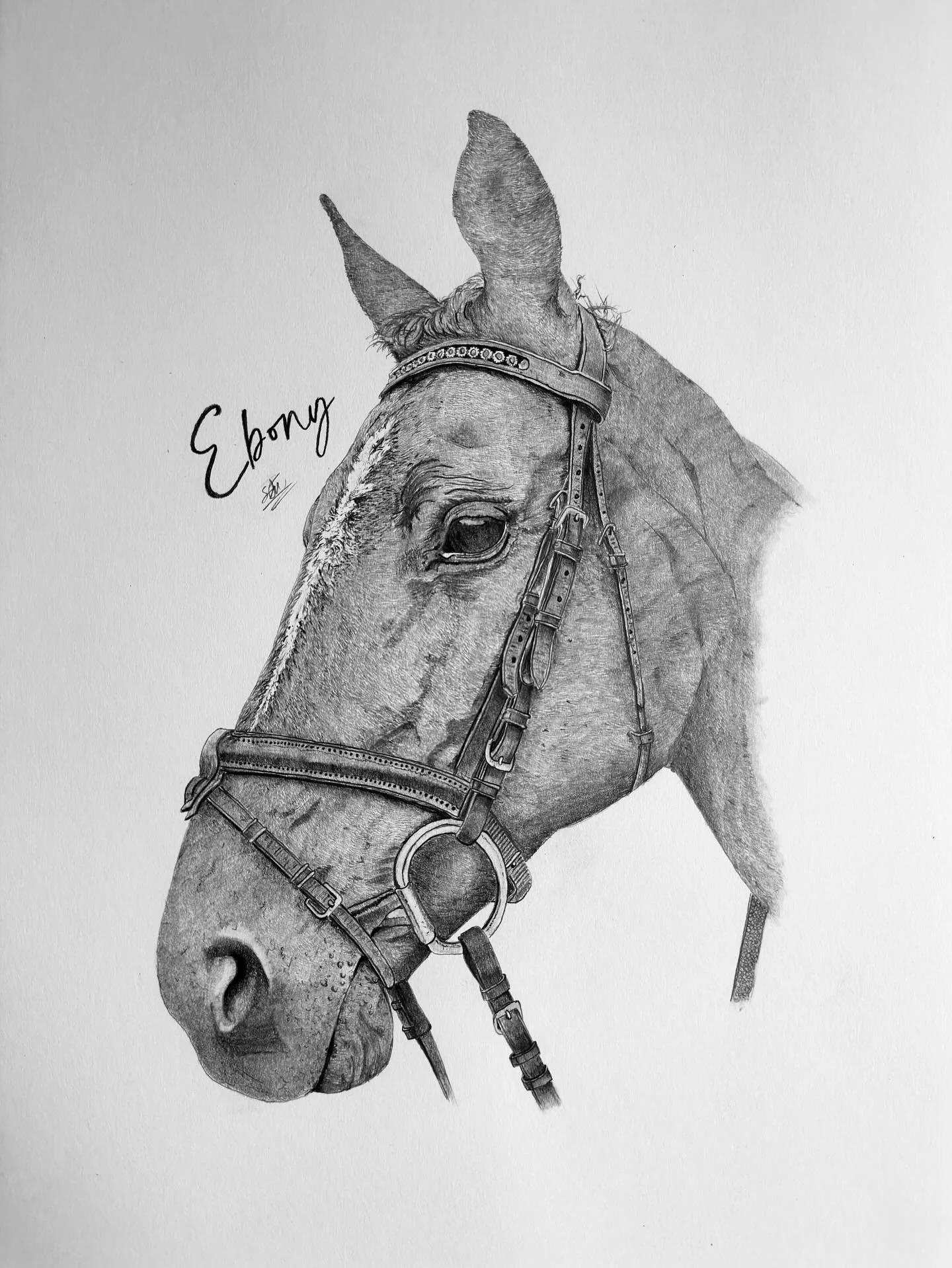 Portraits I&rsquo;ve recently drawn for @lucyfday birthday, serious browny points for @someone_phat. Enjoyed doing these ones.