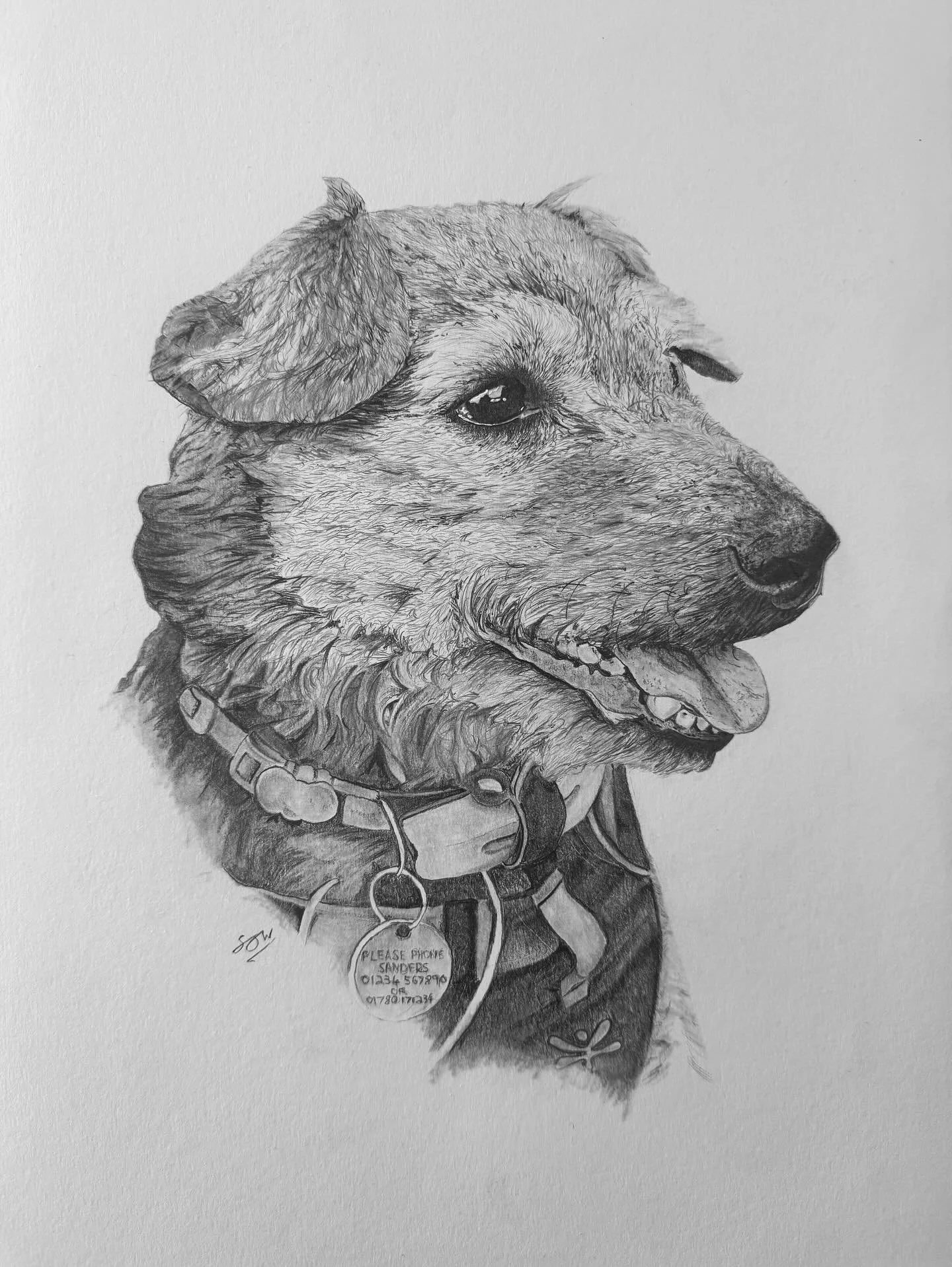 Framed and finished.