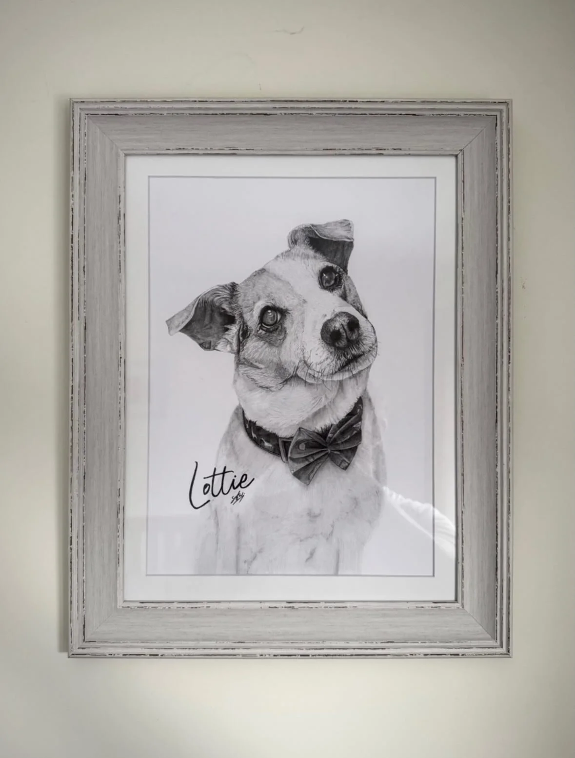 A portrait of the lovely Lottie for @howiehowhigh and his family after they recently lost her. It was a pleasure x 🤍

#petportrait #jackrussell #graphiteart #petmemorial #dogsofinstagram
