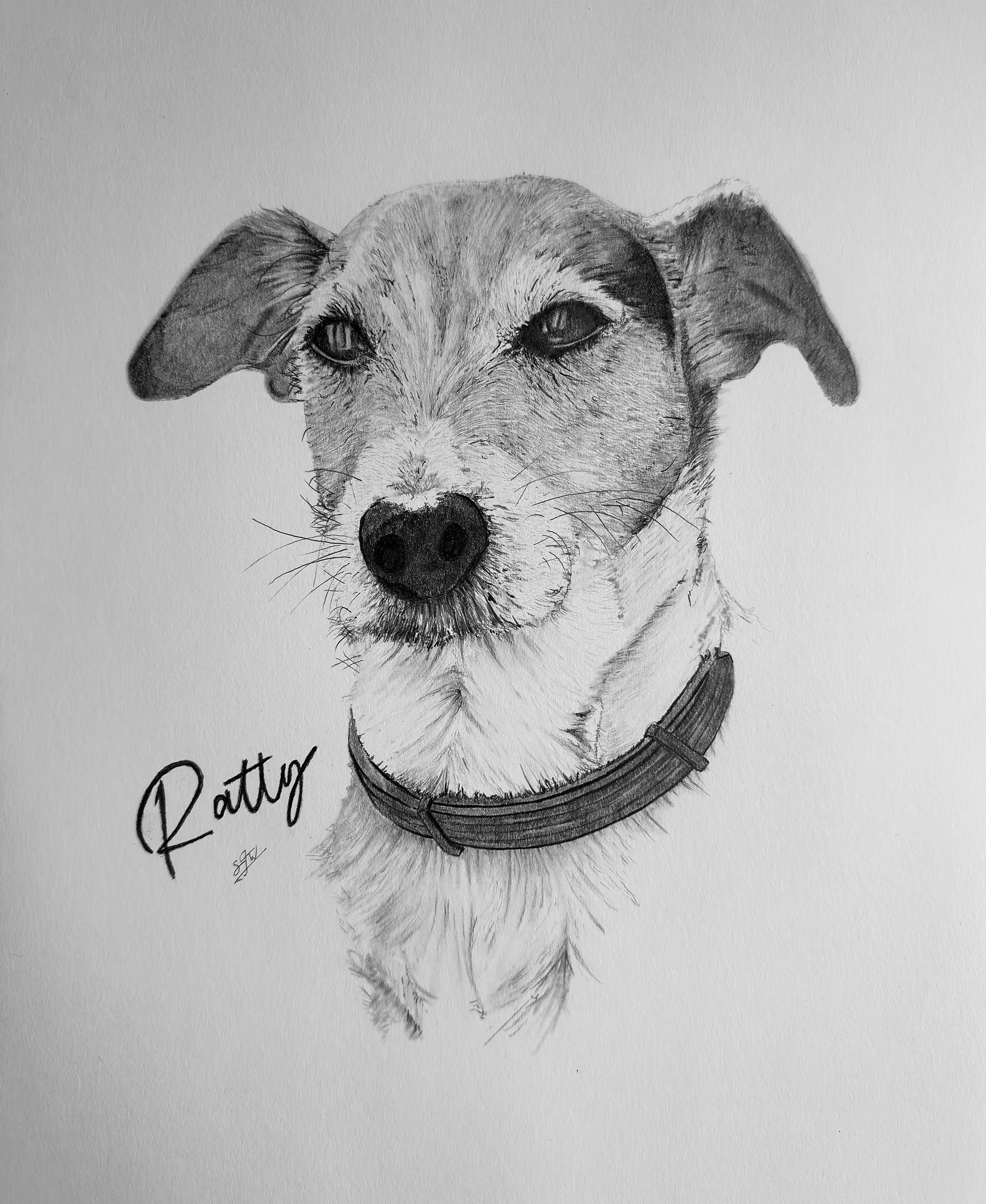 Detailed hand-drawn pet portrait graphite pencil drawing of a dog with a collar, with the name "Ratty" written next to it.