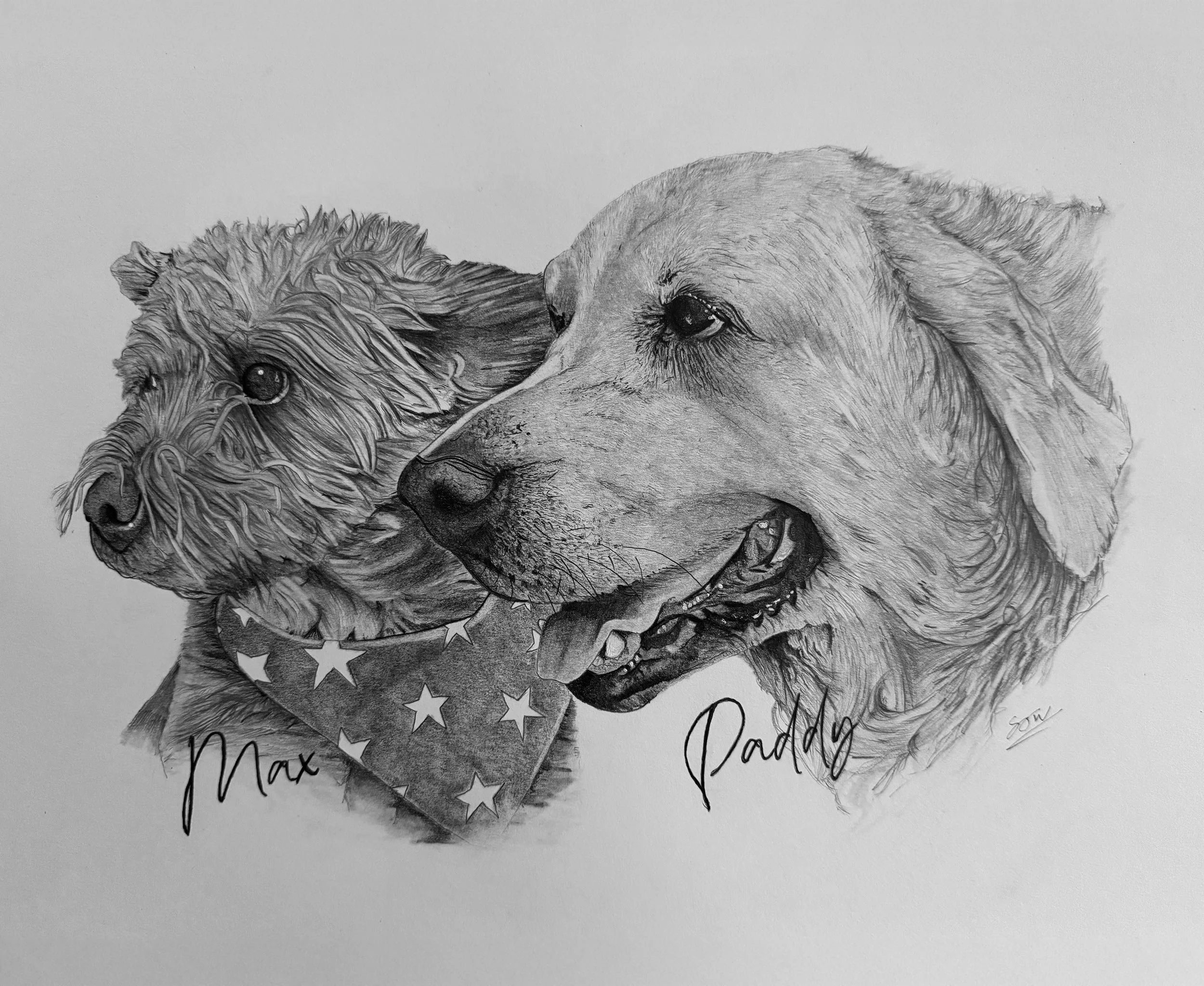 Detailed hand-drawn pet portrait graphite pencil drawing of two dogs, one labeled 'Max' with curly fur and wearing a star-patterned bandana, and the other labeled 'Paddy,' with short fur and alert expression.