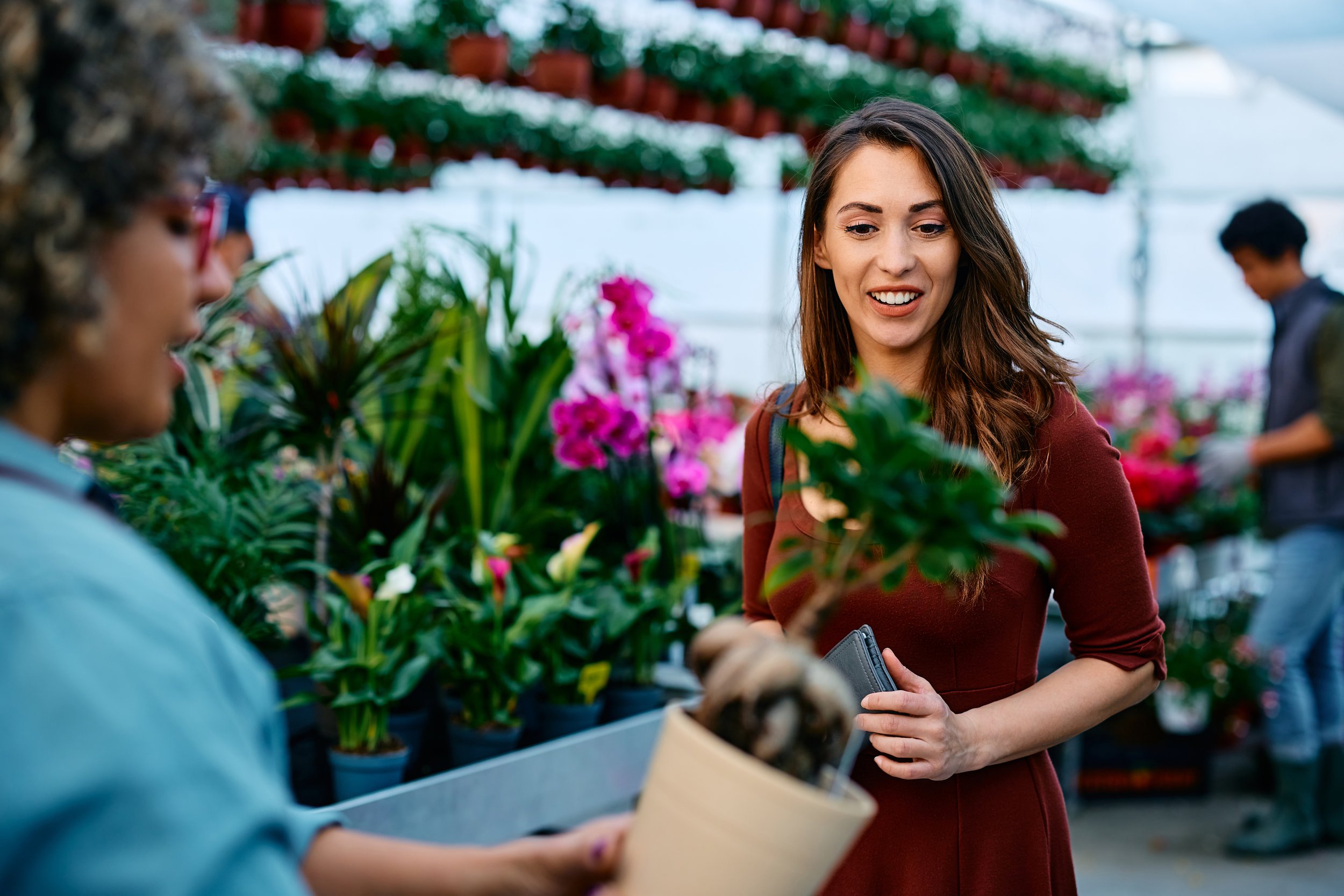 happy-woman-talking-to-florist-while-buying-pot-fl-2024-12-13-18-45-29-utc.jpg