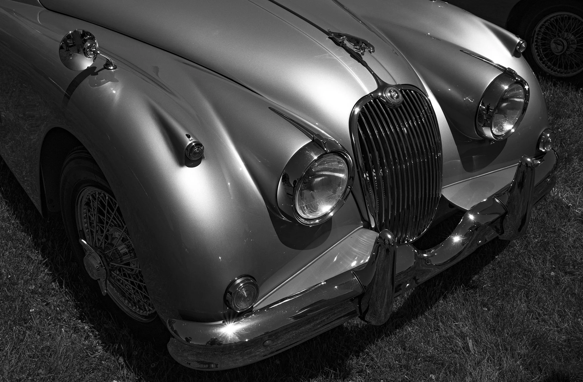 © J. KrajicekL1130985W**.jpg