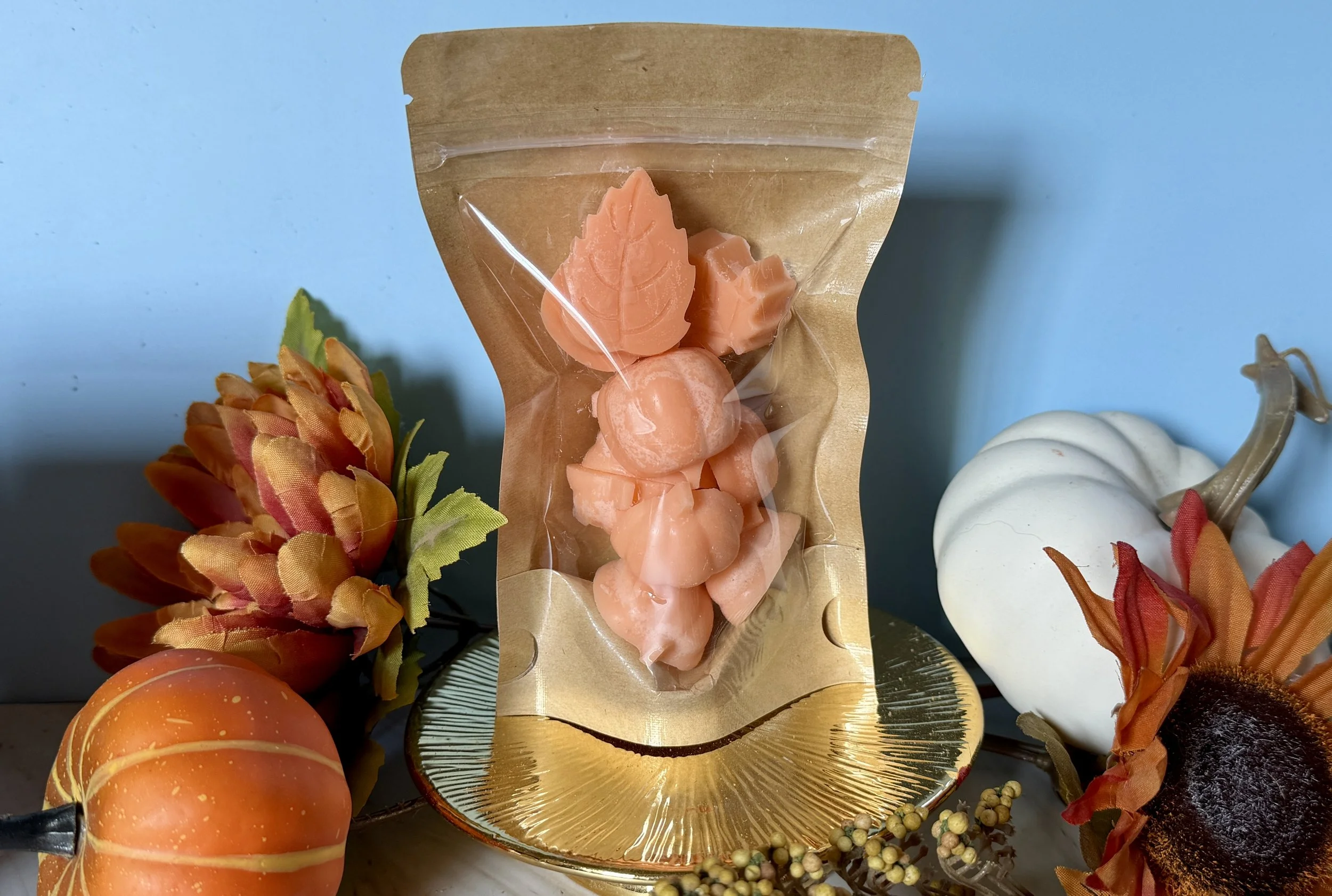 Pumpkin Spice & Everything Nice Wax Melts
