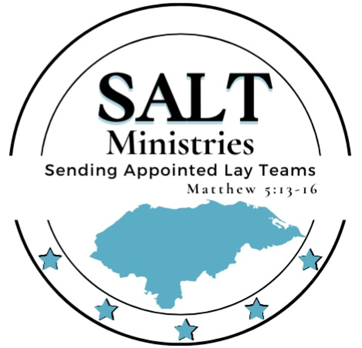SALTeams