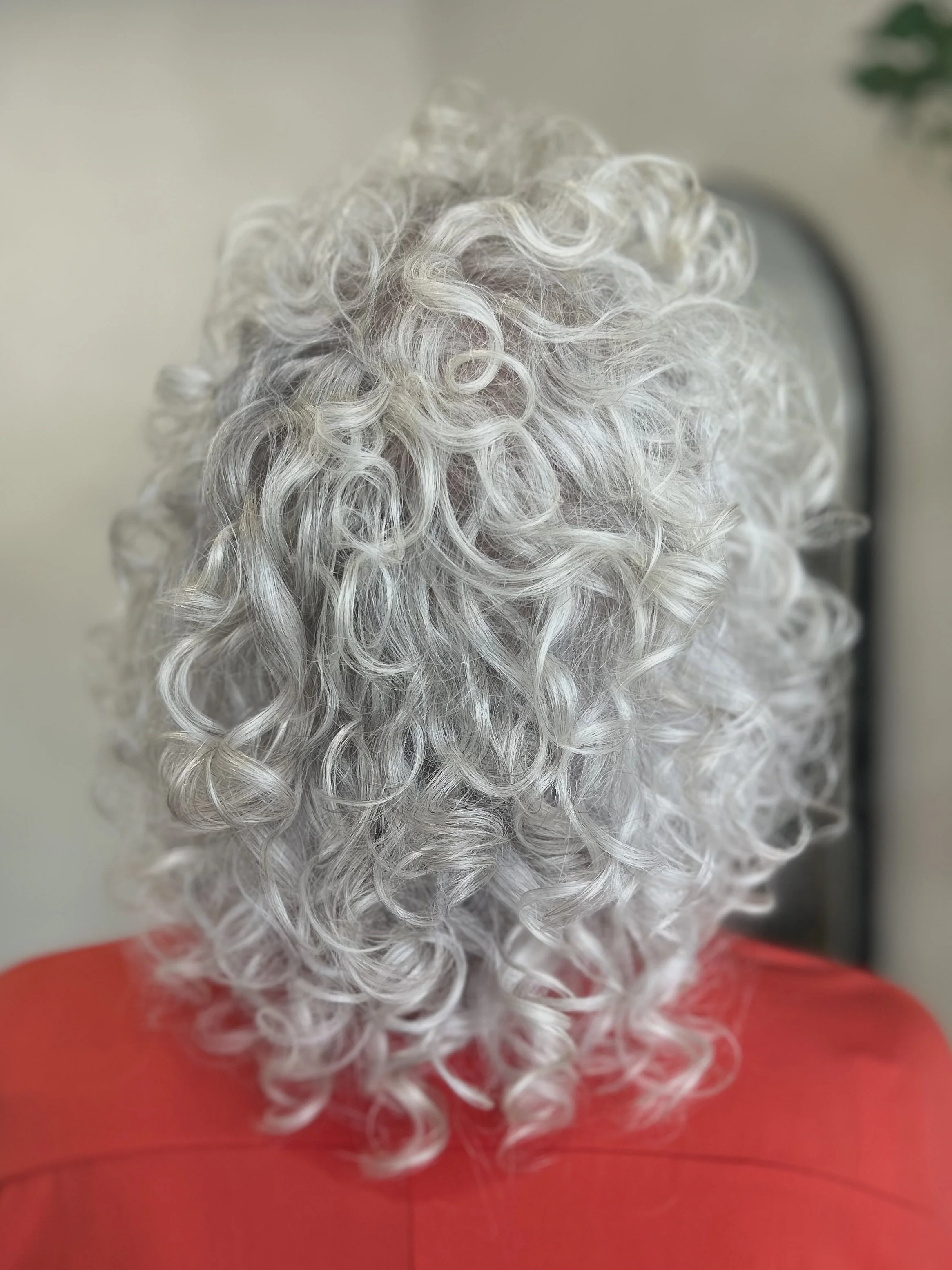 Short curly cut on natural white gray hair in Sarasota 