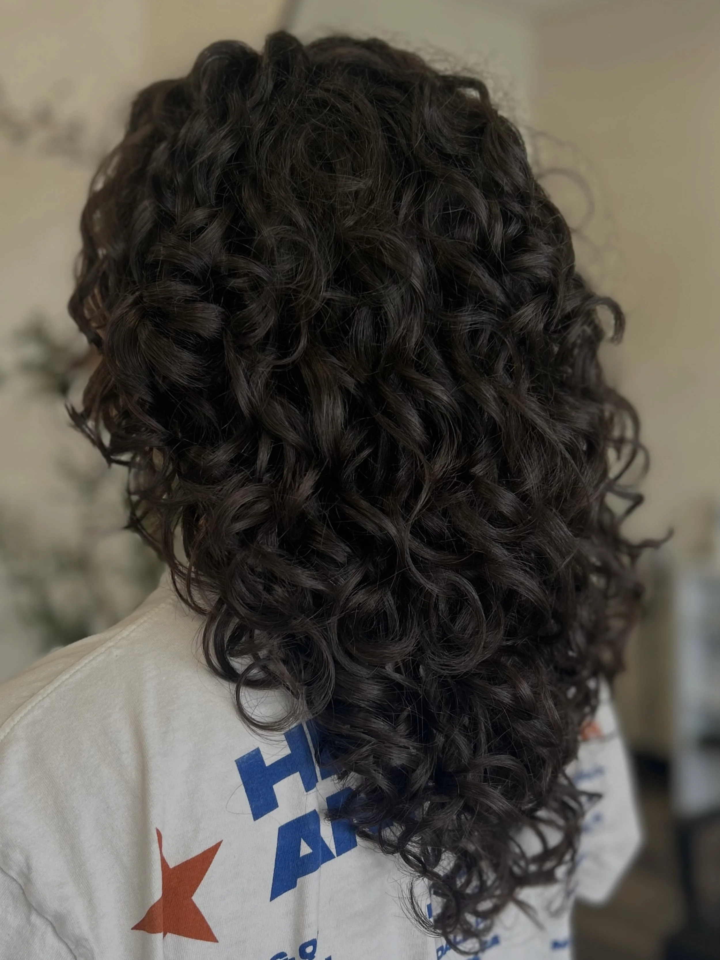 Long brown curly hair cut with polished looking styled curly in Sarasota 