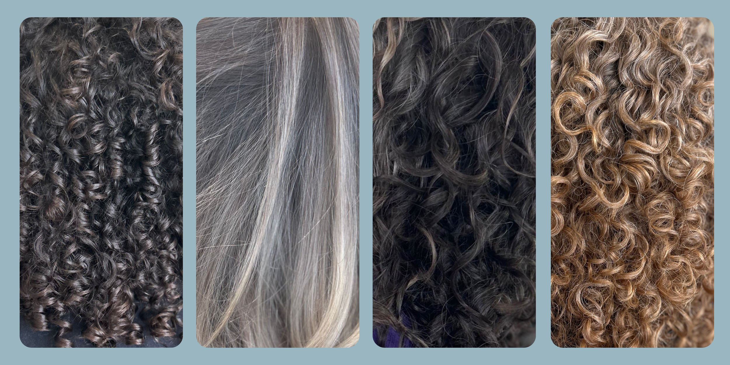 Four beautifully crafted photos of curly hair cuts and gray blending in Sarasota