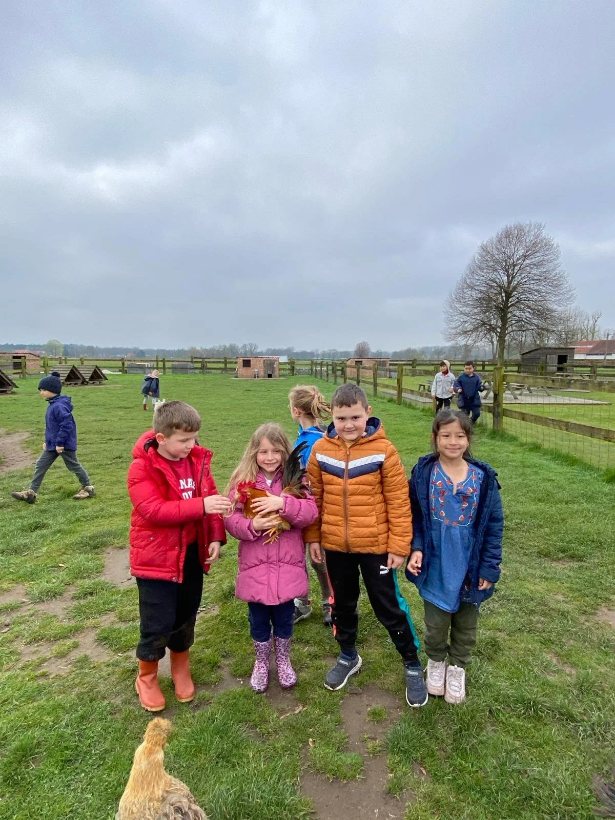 Unknown-1 kopie.jpeg