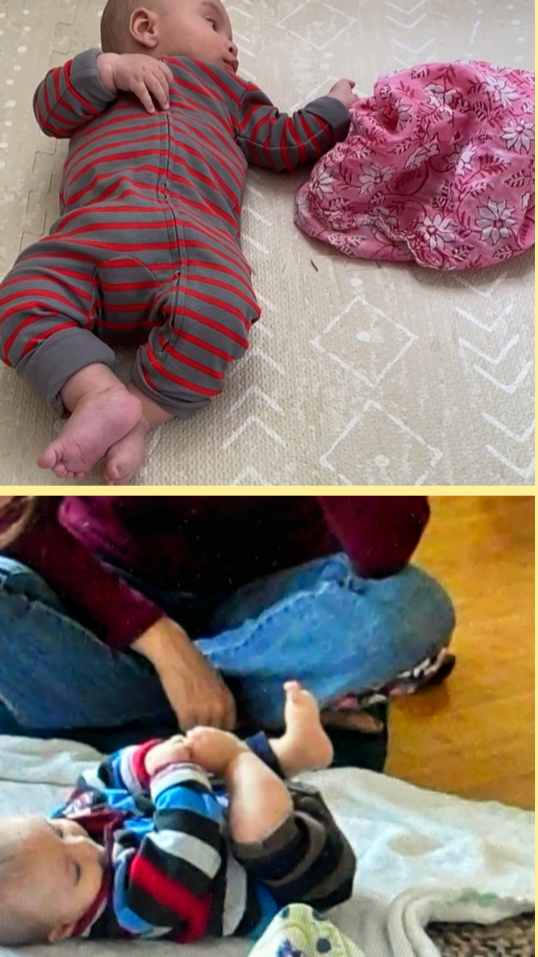 Open House for 3–6 Month Olds