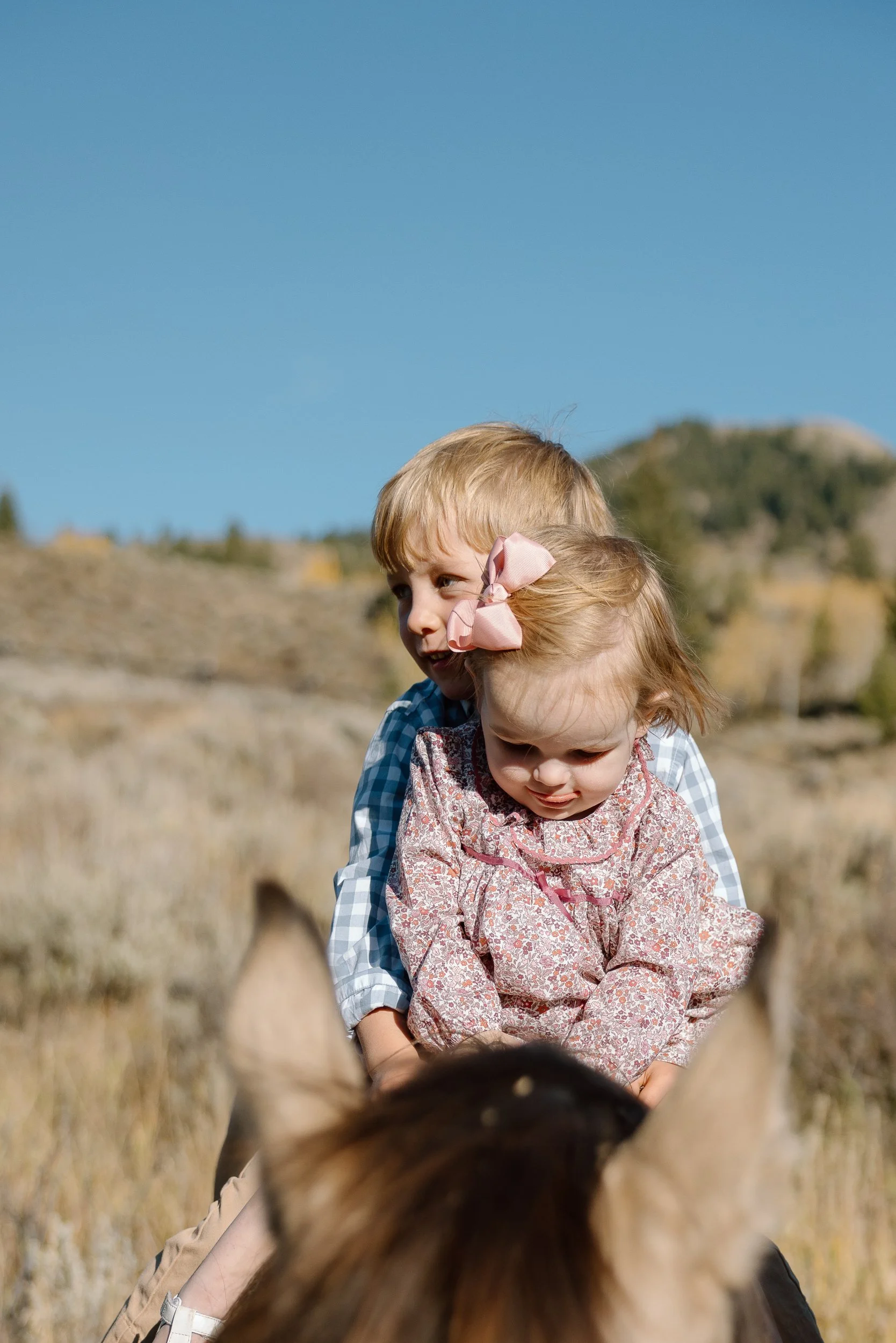FamilyPhotographyJacksonHole-30.jpg