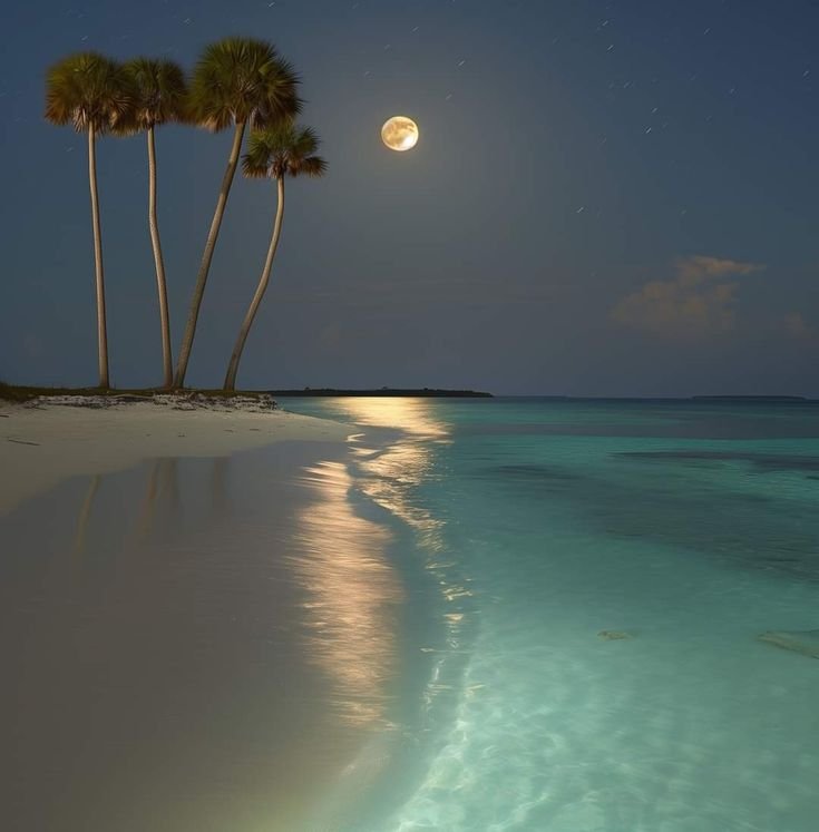 Tropical beach at night with palm trees and full moon reflecting on the ocean.