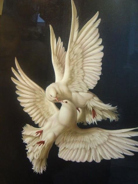 Two white doves in flight with outstretched wings against a dark background.