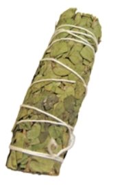 Eucalyptus 4" Smudge Stick