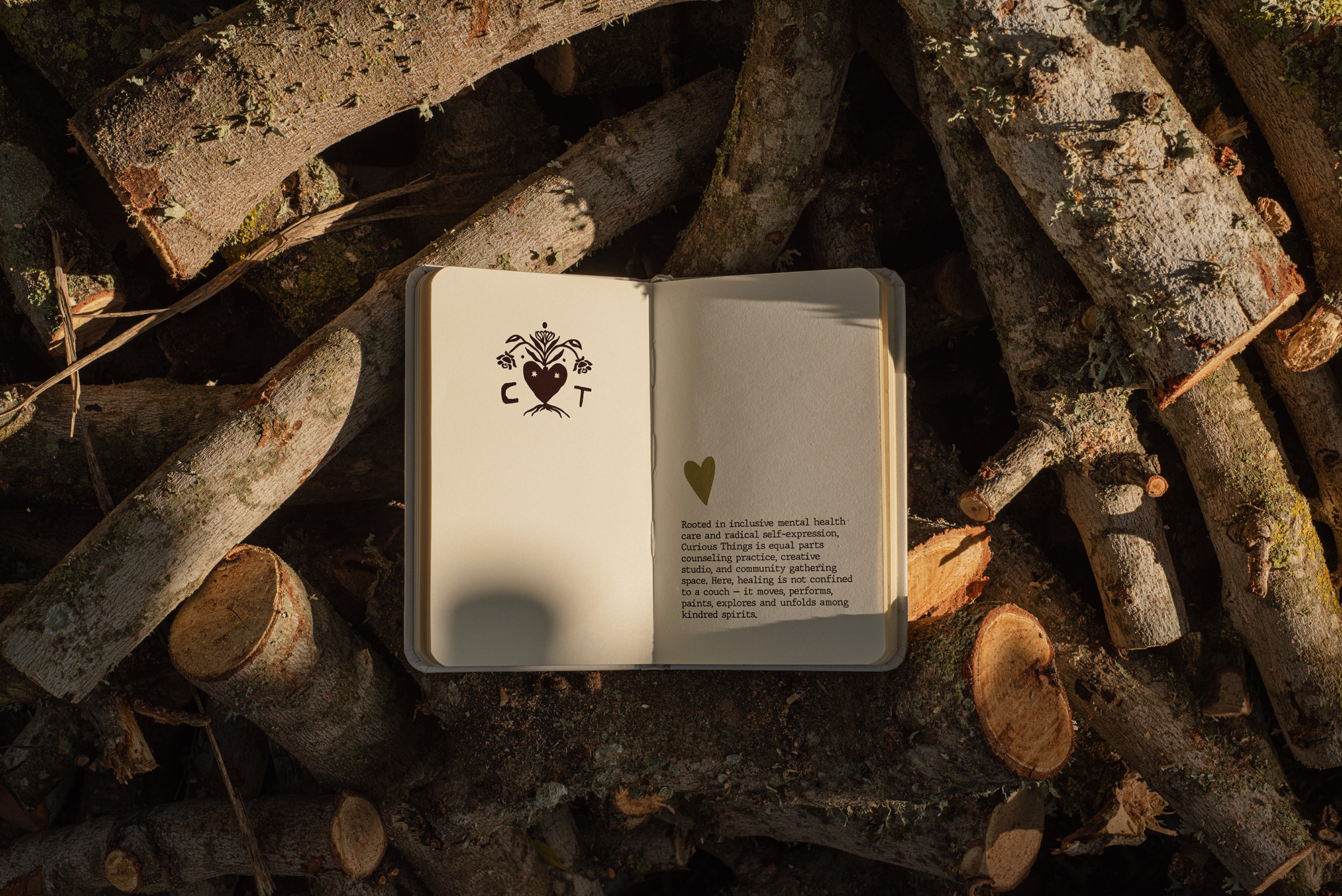 An open journal with a black heart and floral design on the left page, and a paragraph of text with a green heart symbol on the right page, placed on a pile of logs.