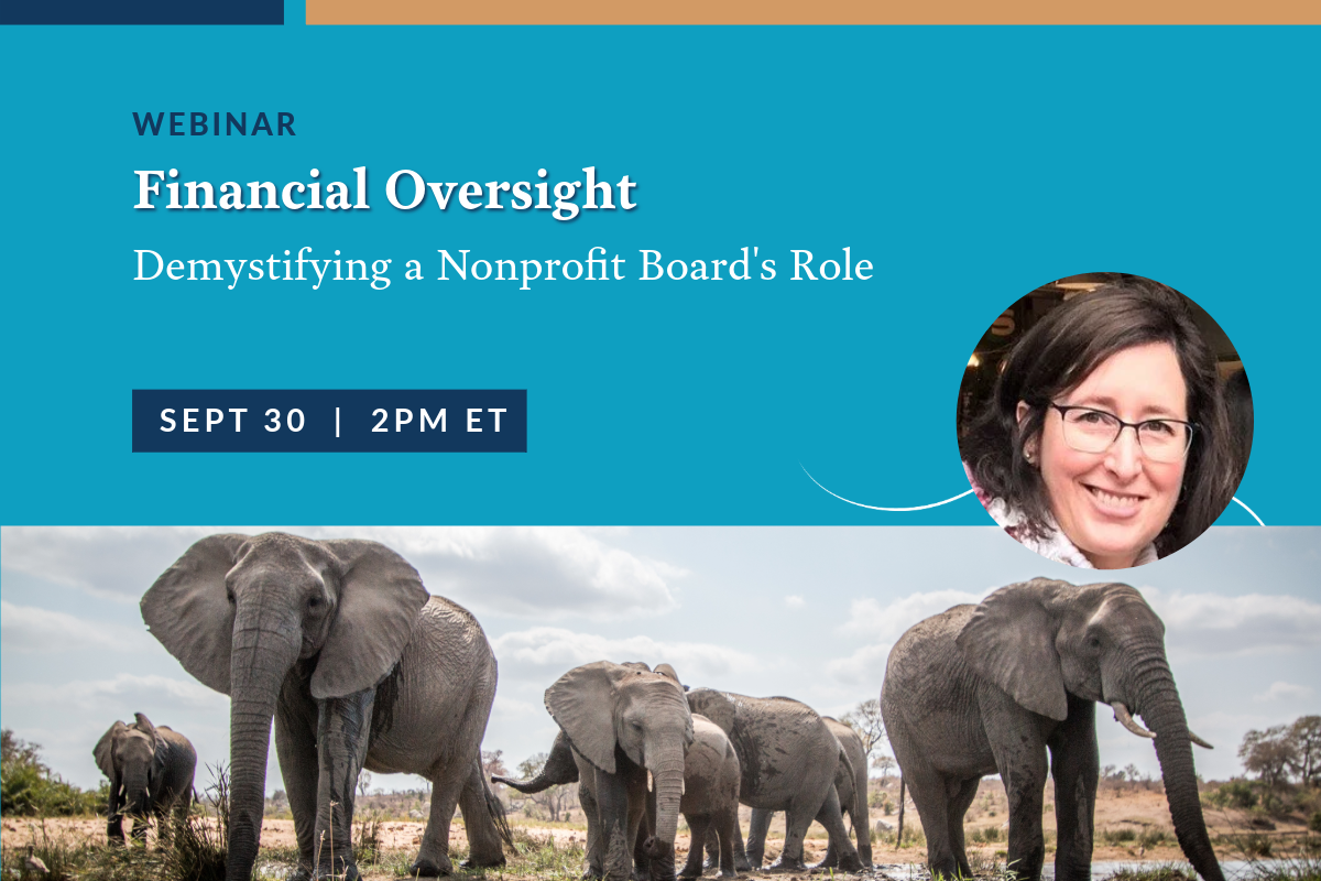 Financial Oversight: Demystifying a Nonprofit Board’s Role