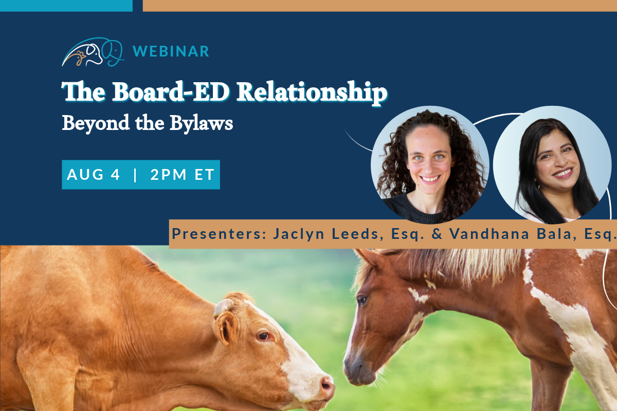 The Board-ED Relationship: Beyond the Bylaws