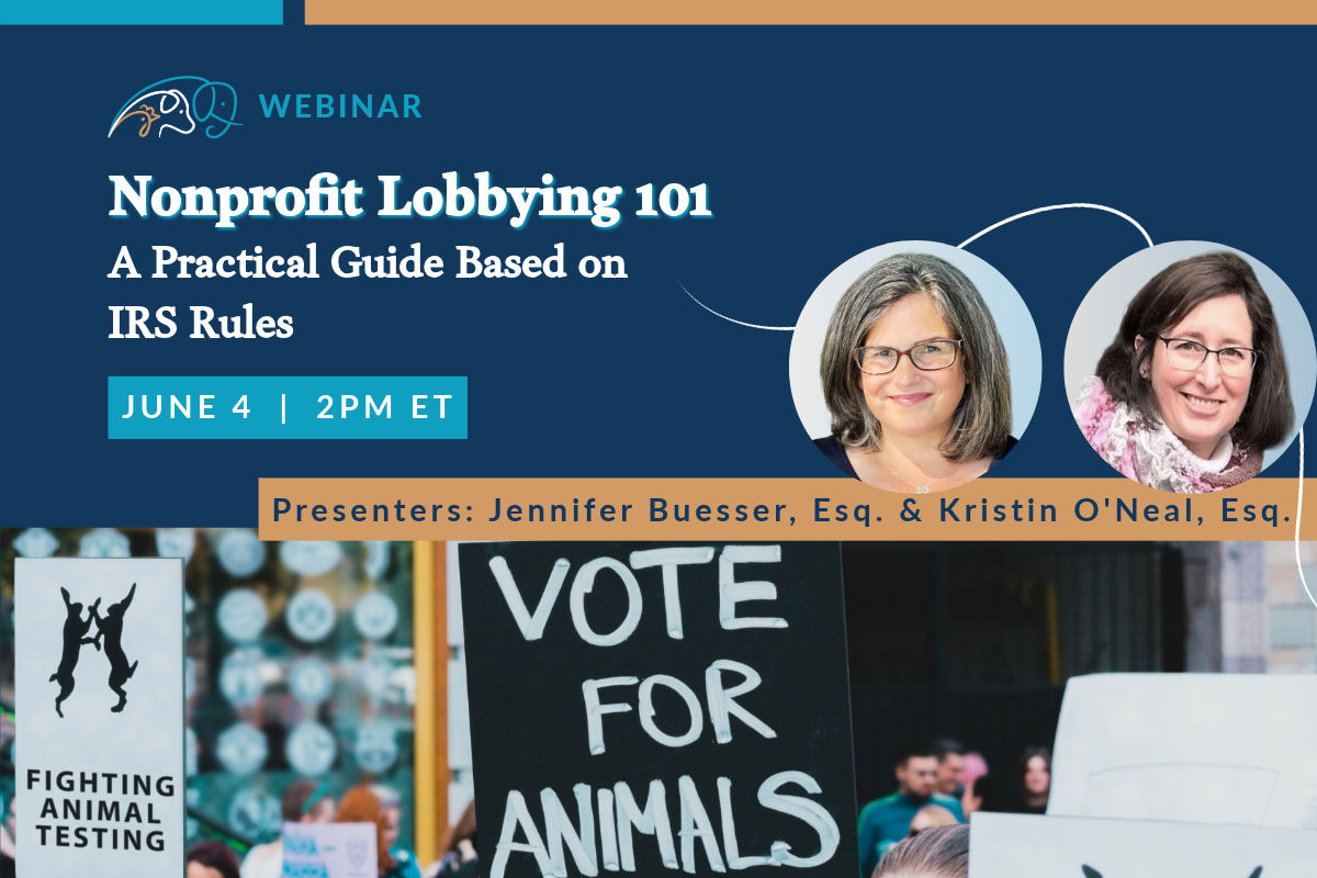 Nonprofit Lobbying 101: A Practical Guide Based on IRS Rules