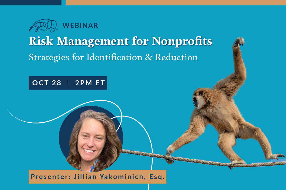 Risk Management for Nonprofits: Strategies for Identification &amp; Reduction