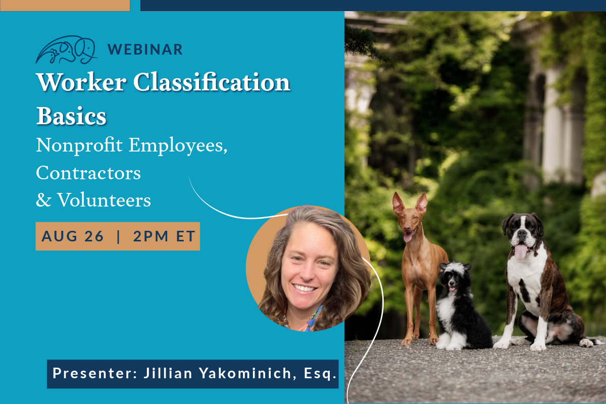 Worker Classification Basics: Nonprofit Employees, Contractors &amp; Volunteers