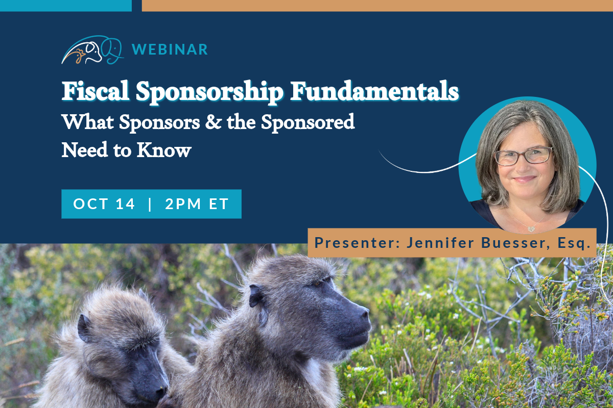 Fiscal Sponsorship Fundamentals: What Sponsors &amp; the Sponsored Need to Know