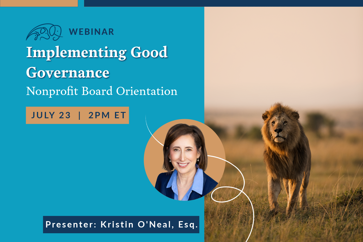 Implementing Good Governance: Nonprofit Board Orientation
