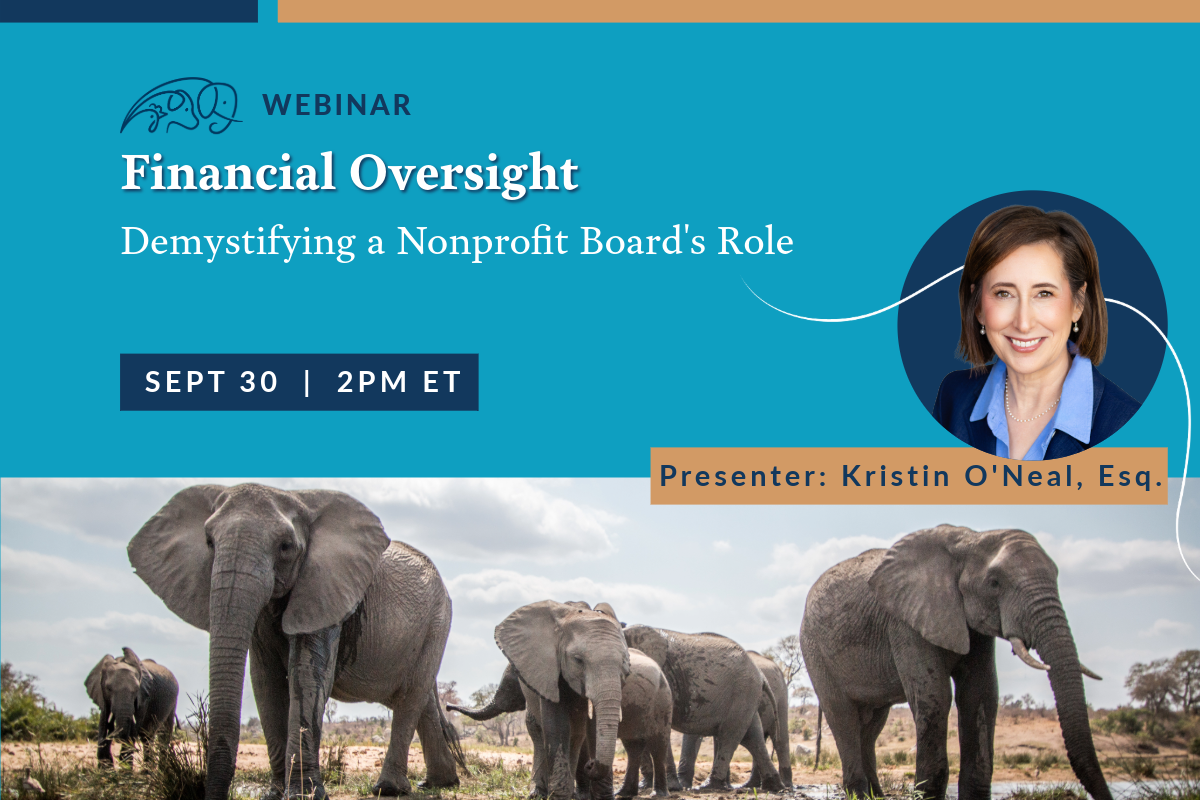 Financial Oversight: Demystifying a Nonprofit Board’s Role