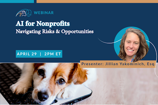 AI for Nonprofits: Navigating Risks & Opportunities