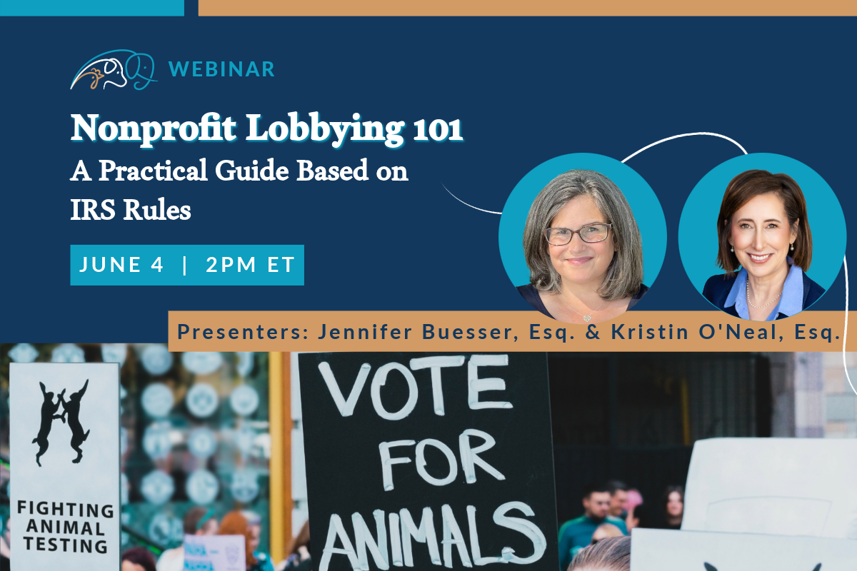 Nonprofit Lobbying 101: A Practical Guide Based on IRS Rules
