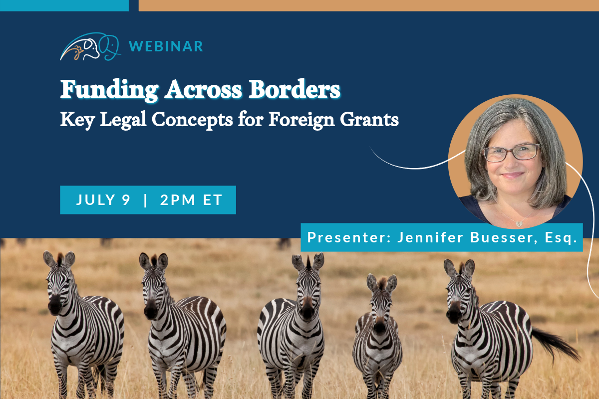 Funding Across Borders: Key Legal Concepts for Foreign Grants
