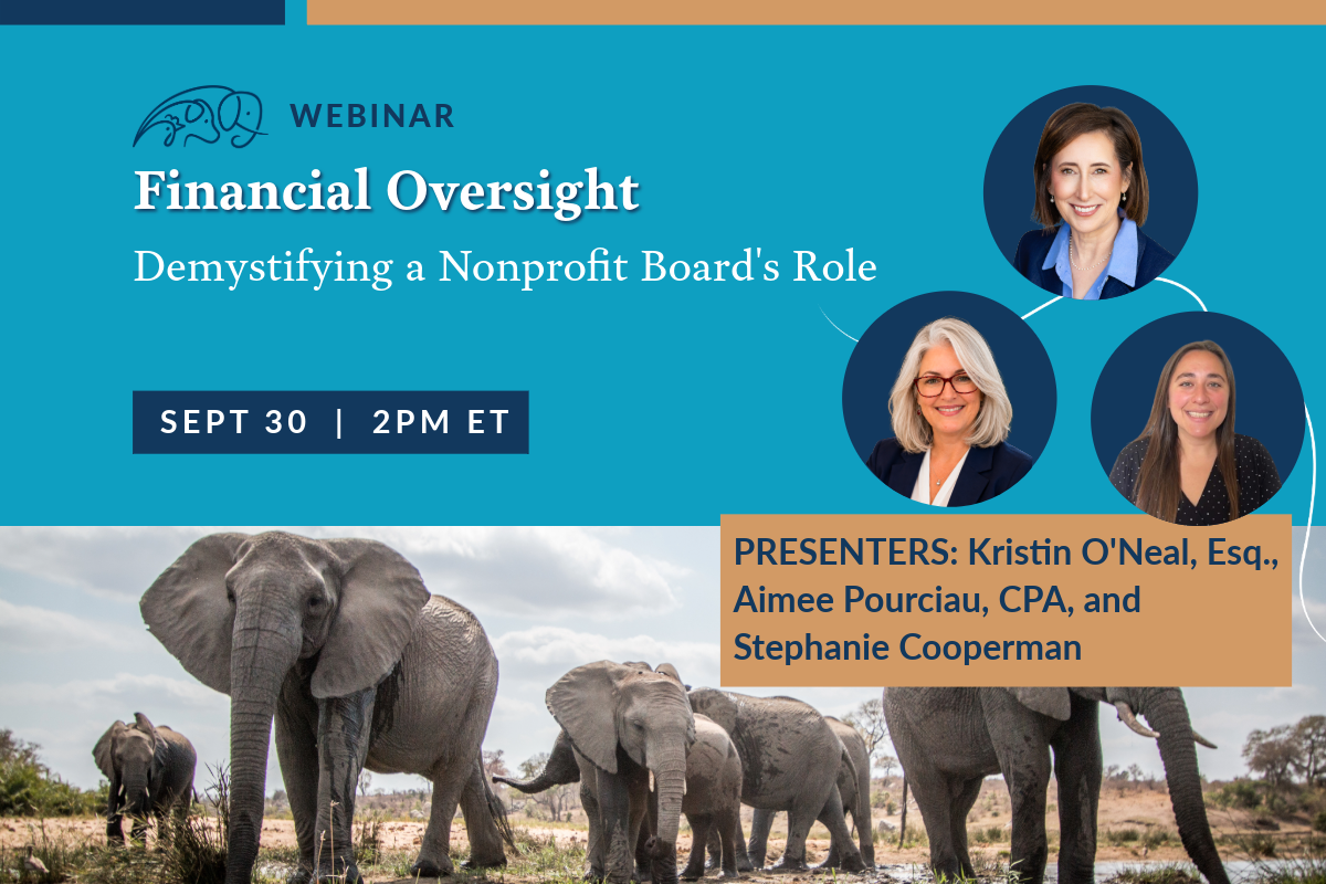 Financial Oversight: Demystifying a Nonprofit Board’s Role